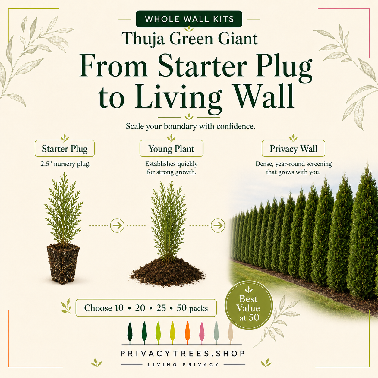 privacytrees_wall_kits_thuja_starter_to_wall.webp