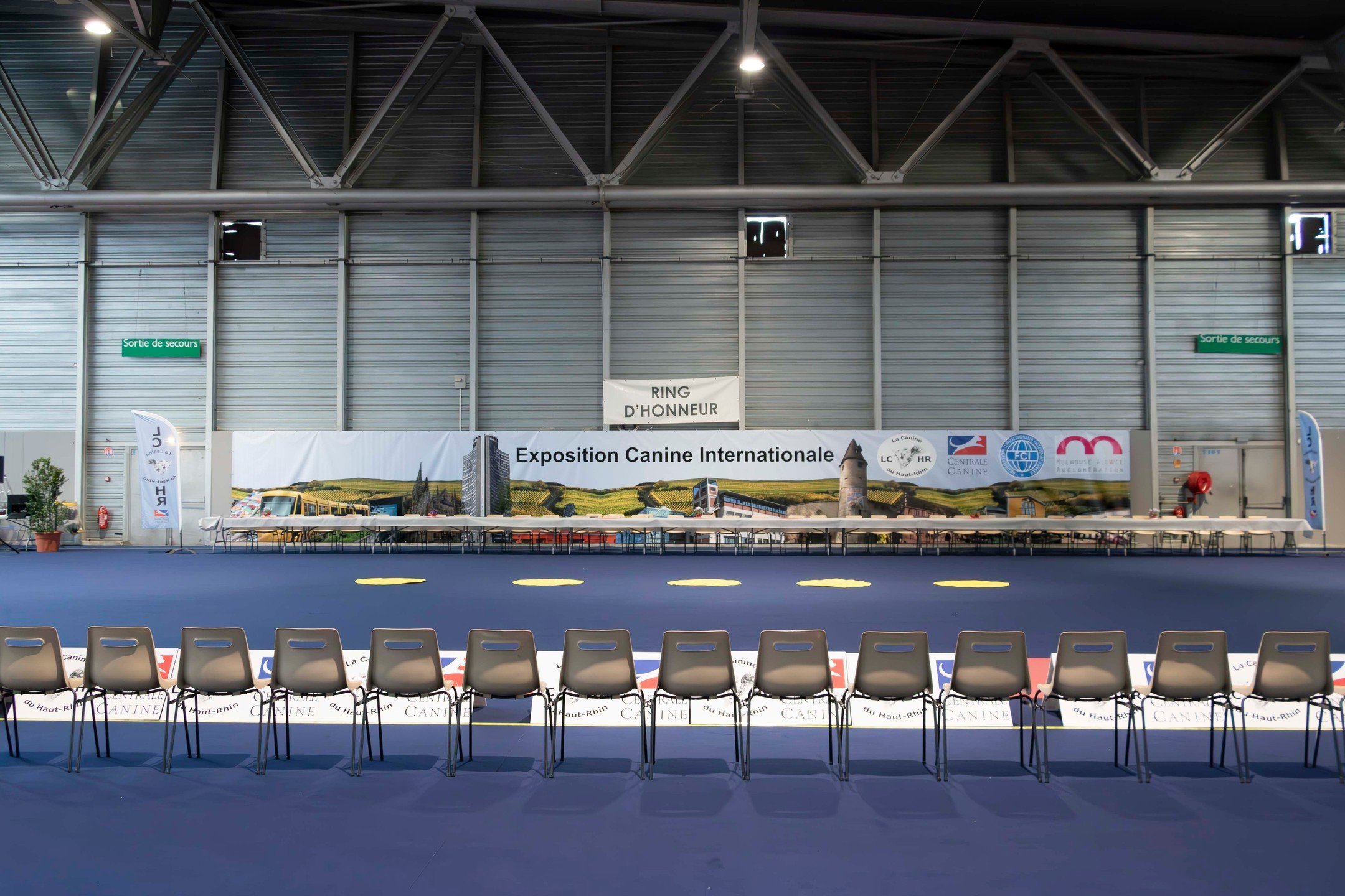R&eacute;alisation d'un visuel pour une b&acirc;che de 20m x 2,5m &agrave; l'occasion de l'Exposition Canine Nationale et Internationale de Mulhouse du 6 et 7 avril 2024.

Un grand merci &agrave; Claude RITTER pour la commande, &agrave; Matthieu Vith