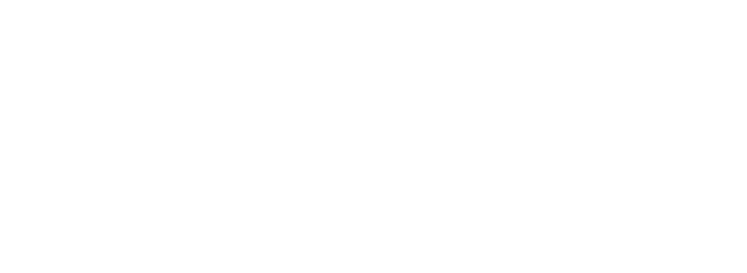 JAŸ-Z30 - Media