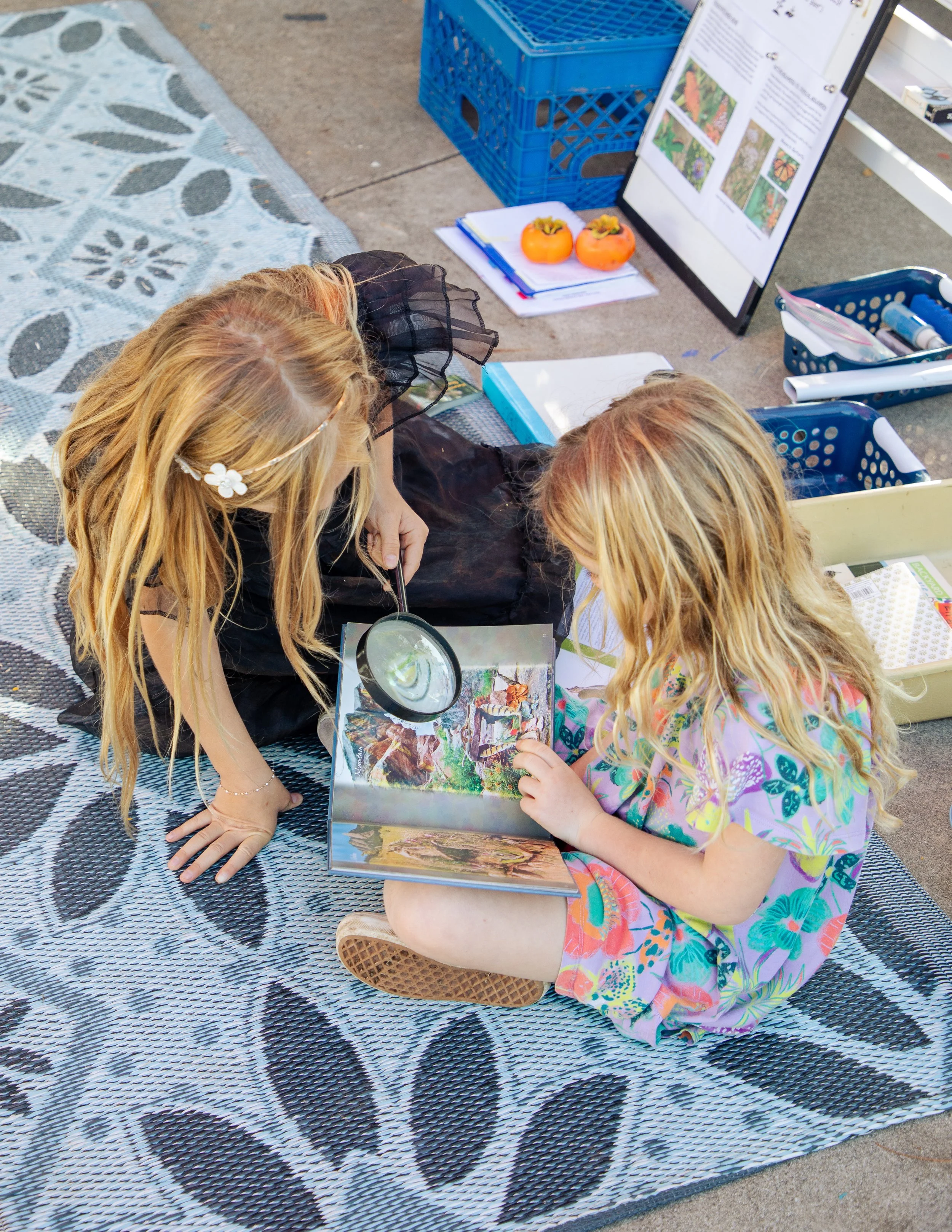 Two young girls with long blonde hair sitting on a blue and white patterned outdoor rug, engaged in looking at a colorful book about nature. One girl is wearing a black dress and the other a floral dress. Various outdoor items, including a magnifying glass, a clipboard with papers, artificial persimmons, and plants are visible around them, with a blue crate and a display board in the background.