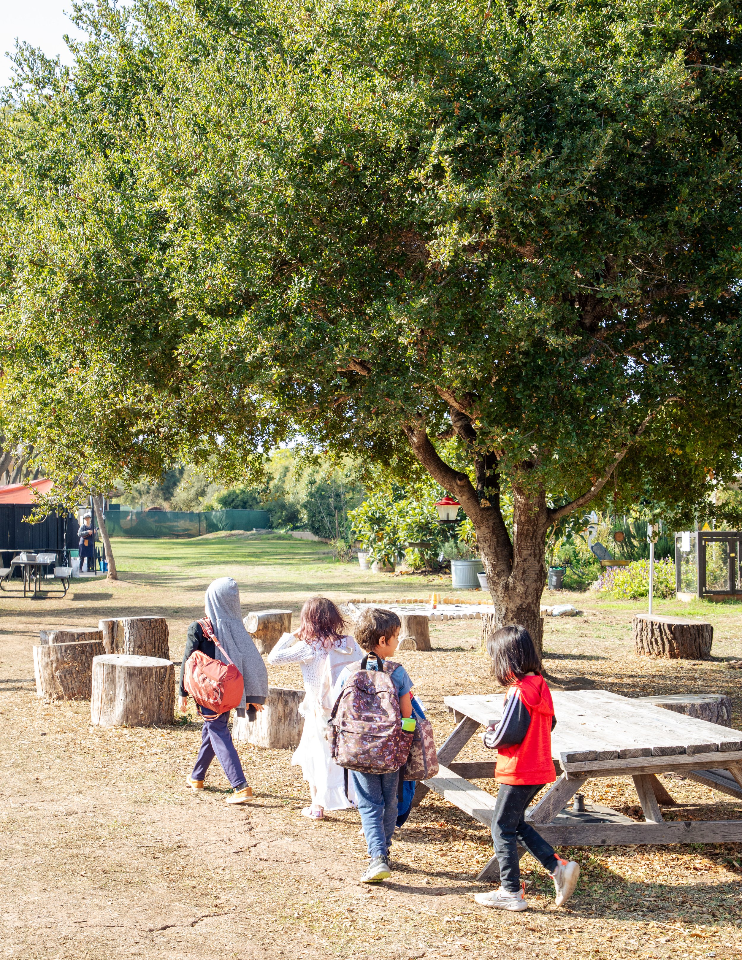 A group of children walking in a park with a large green tree, wooden stumps, and picnic tables, during daytime.
