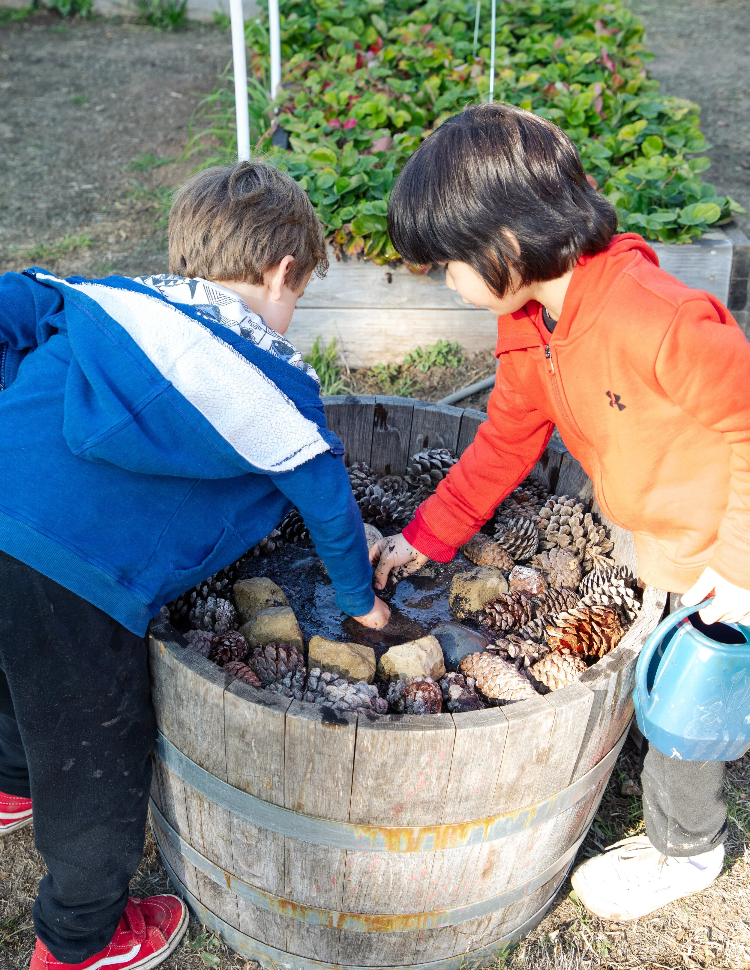 Two children with short hair, one wearing a blue jacket and the other an orange hoodie, leaning over a large wooden barrel filled with pinecones, outdoors on a sunny day.