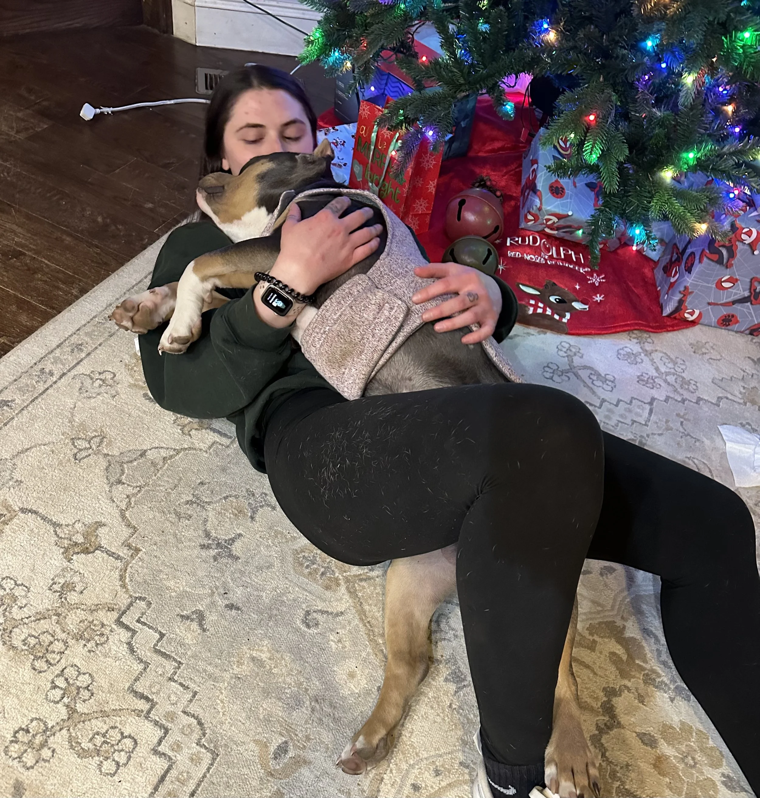 Thanos (aka Potato Head) - American Bulldog