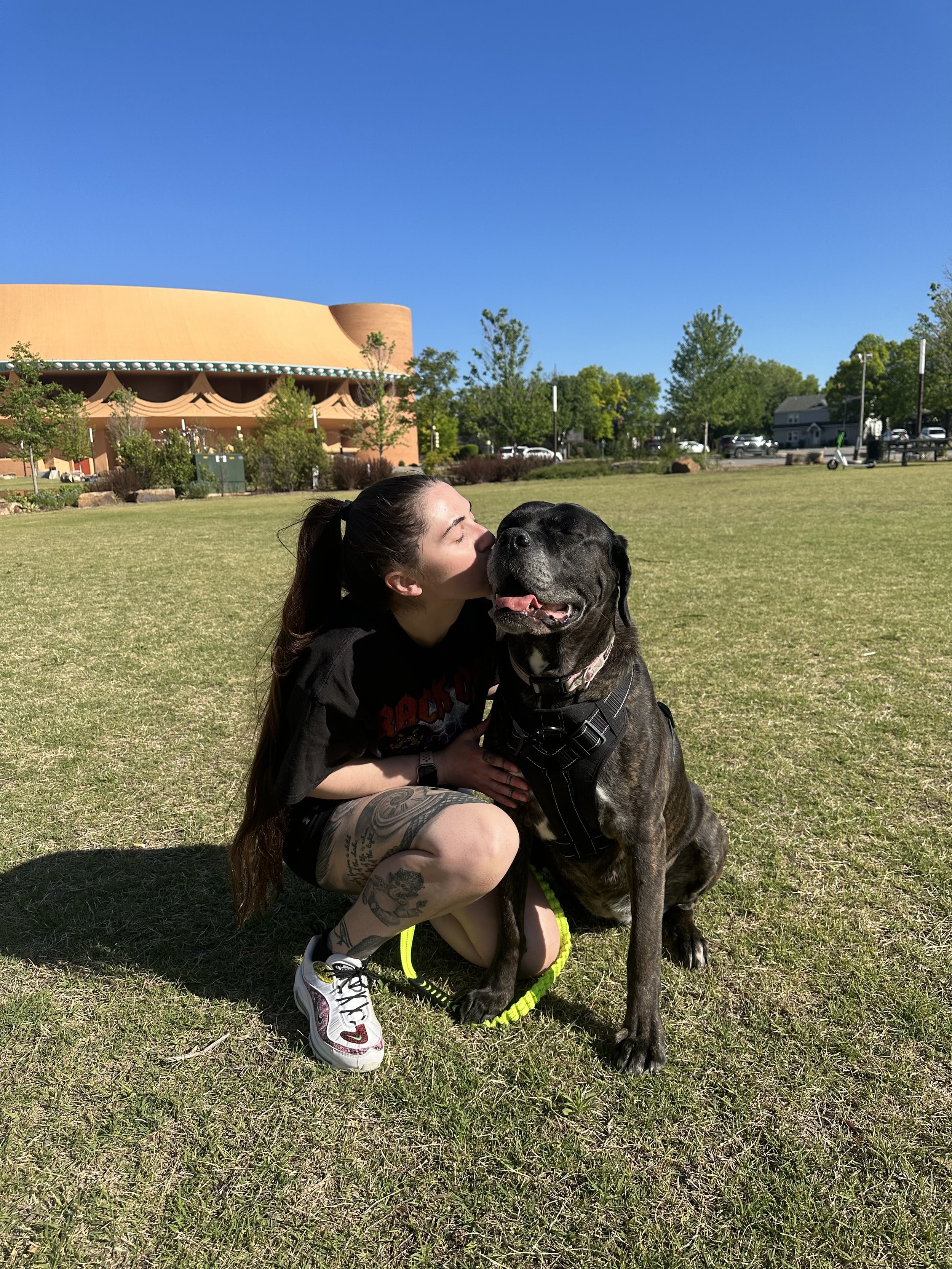 Athena - Cane Corso