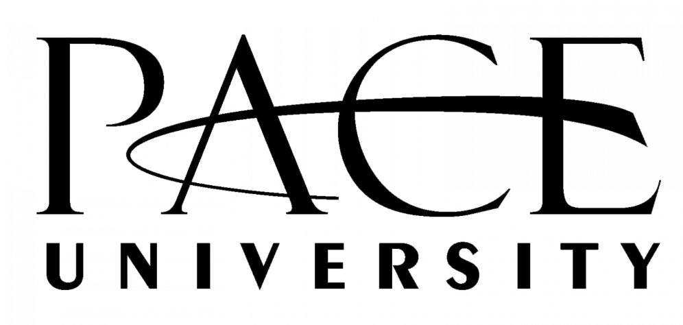 PAEC University logo with stylized text and orbit design.