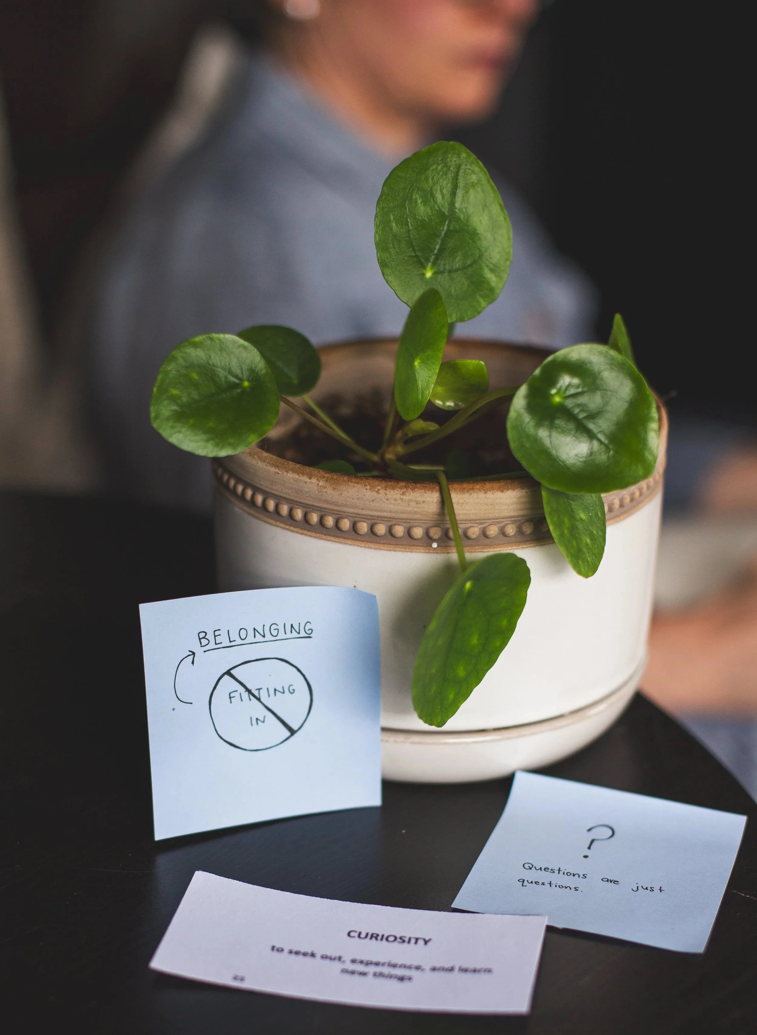 A green potted plant with circular leaves on a dark surface, next to a white sheet of paper with handwritten notes, and a card with typed text about curiosity, amidst scattered papers.
