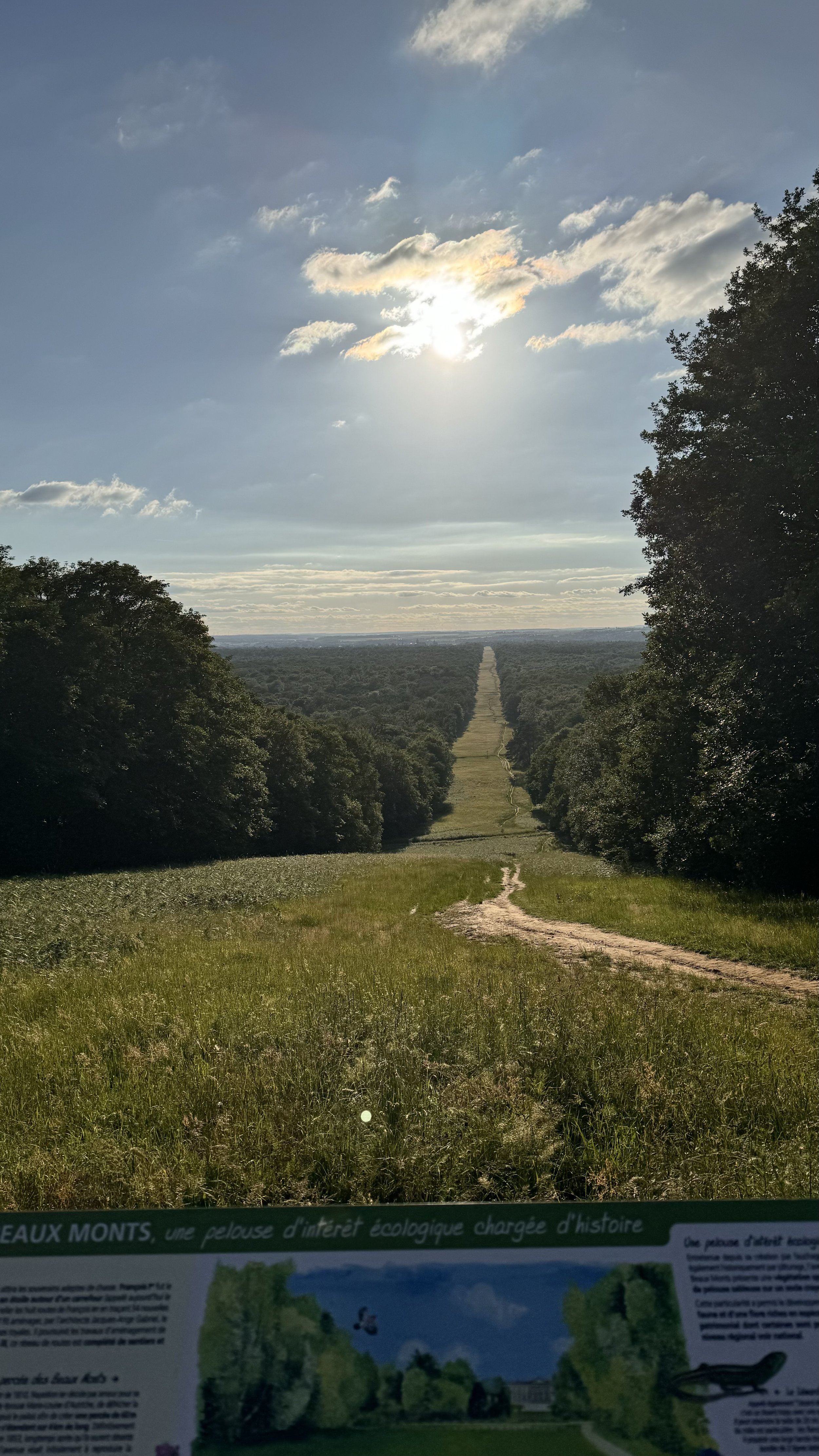 A grassy trail leading into a forested landscape with trees on both sides under a partly cloudy sky with the sun shining.