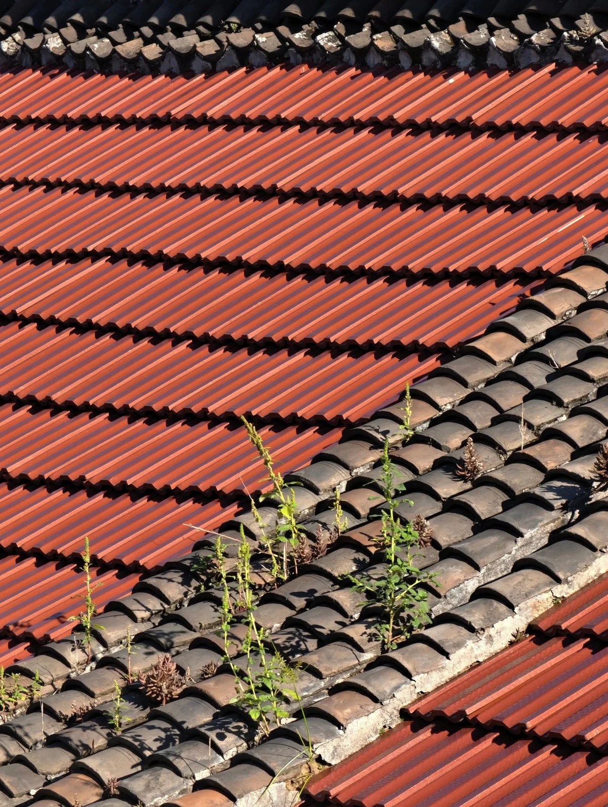 Rooftop Tiling.jpeg