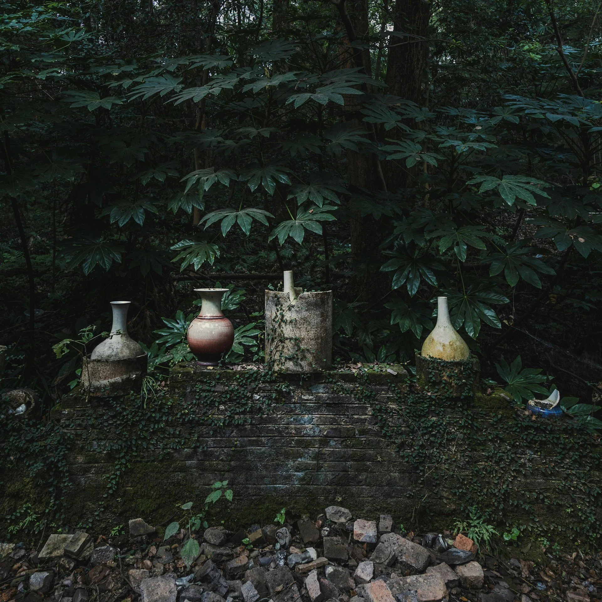 Wild Vases.jpg