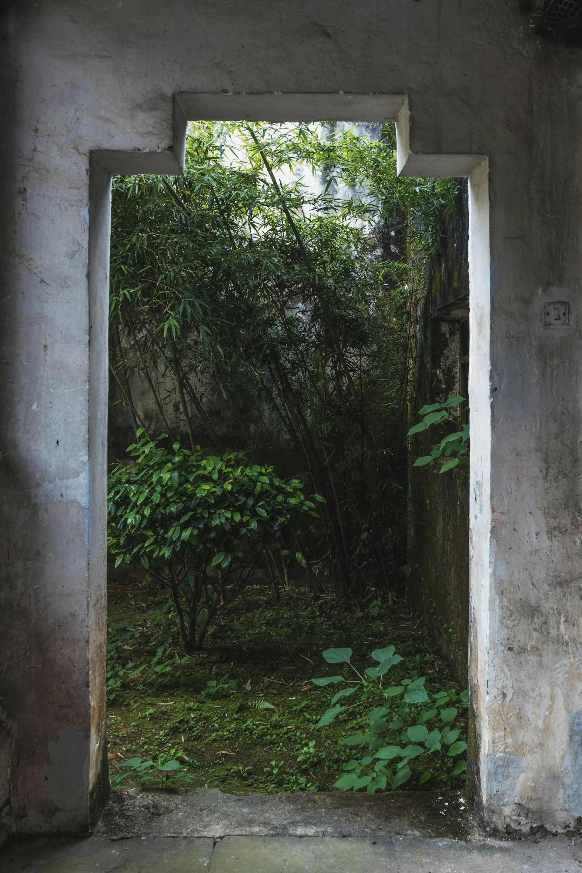 Doorway.jpg