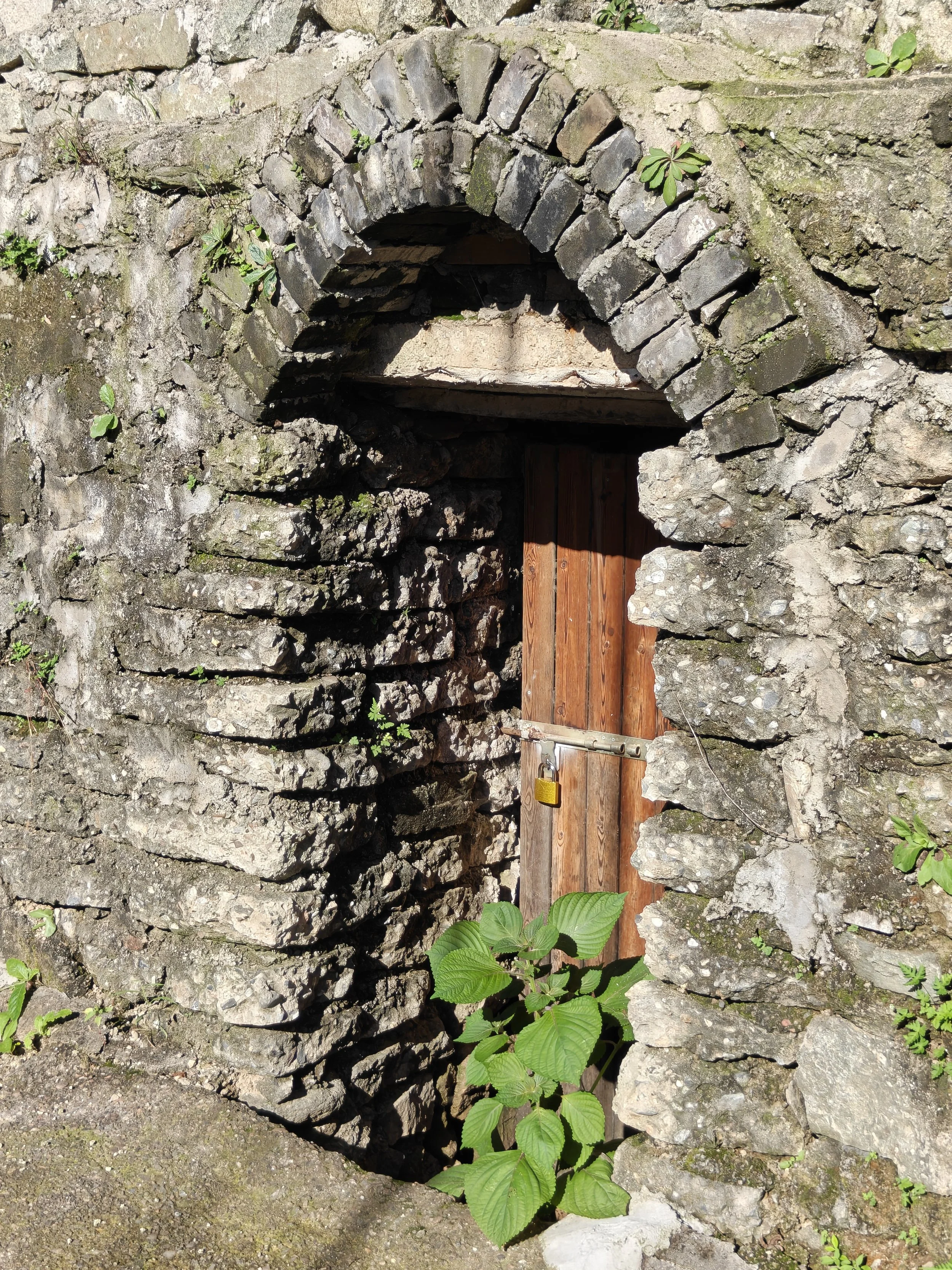 Cellar.jpg