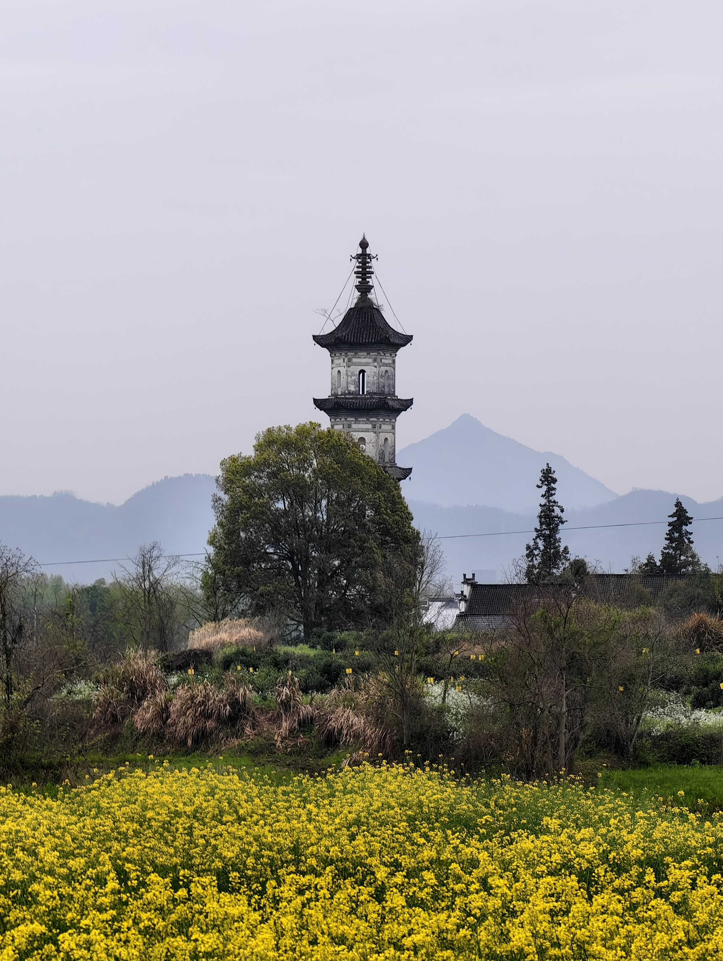 Weixin Image_20260707212509_272_180.jpg