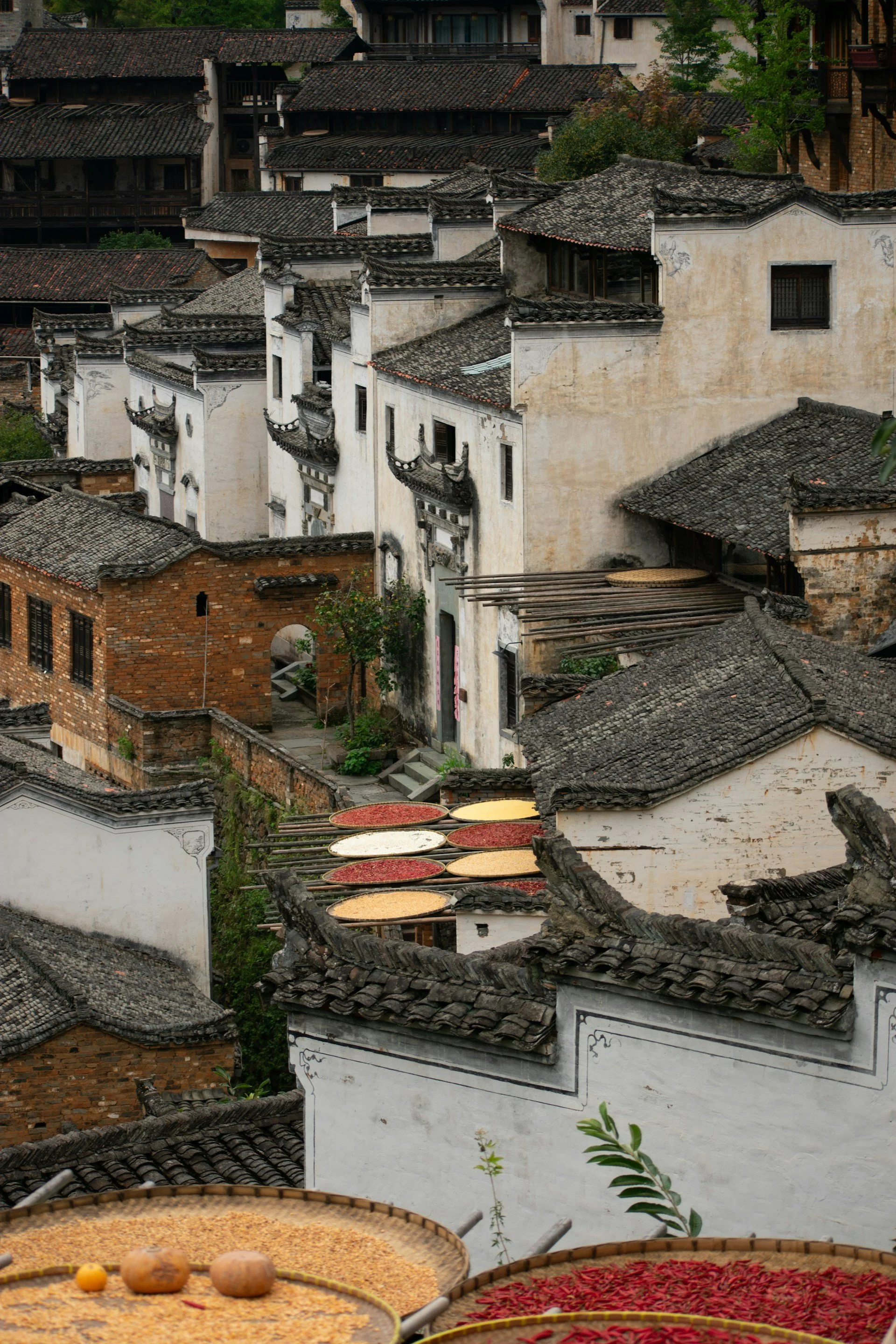 Rooftops.jpg