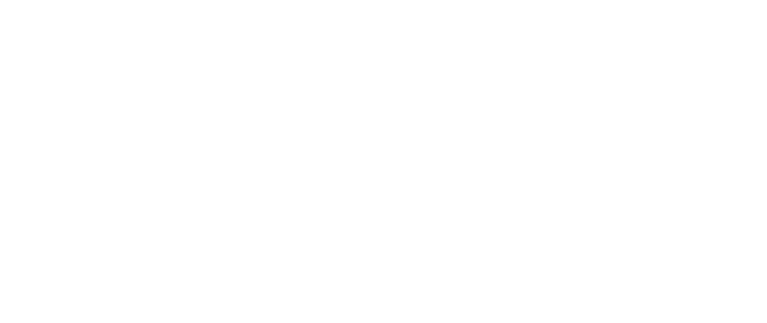 PI VENTURES