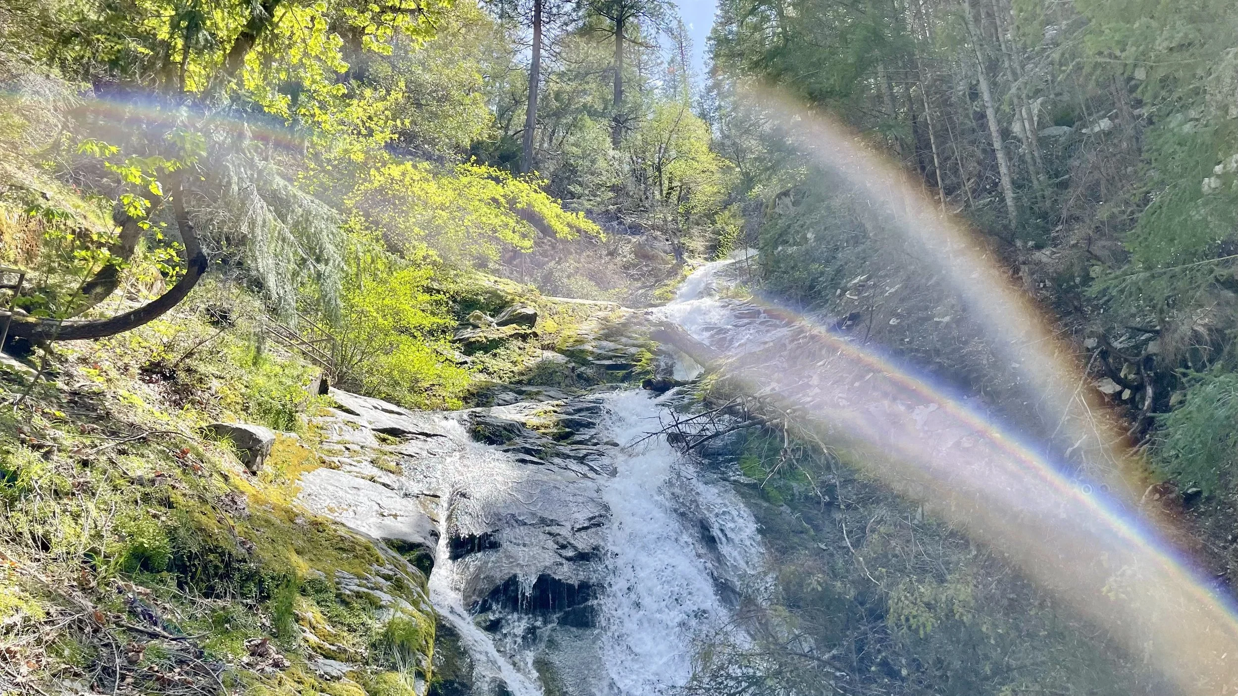 A forest scene with a waterfall and a rainbow in the sunlight.