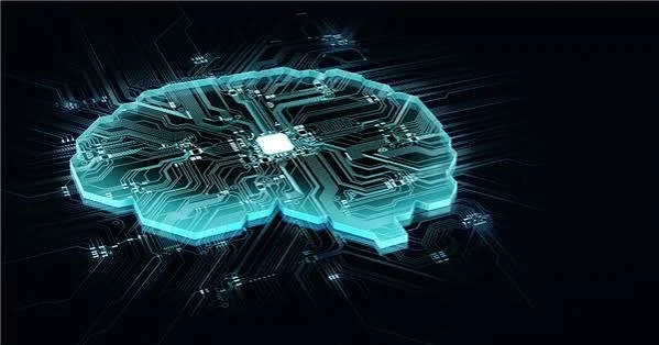Digital Transformation in Naples, FL: Where AI Actually Fits