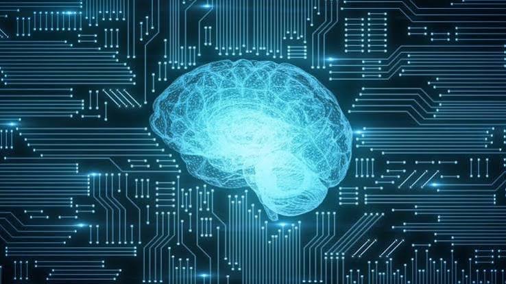 AI Consultants in Naples, Florida: The Five Types of Firms, Compared