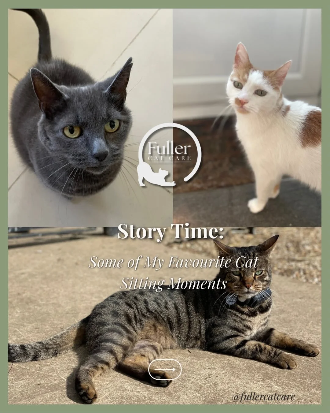 Every cat I look after teaches me something different 🐾

Some race straight into my arms, some watch me from the window before I&rsquo;ve even knocked, and some&hellip; jump on my head from the roof. 

Getting to know each of their little personalit