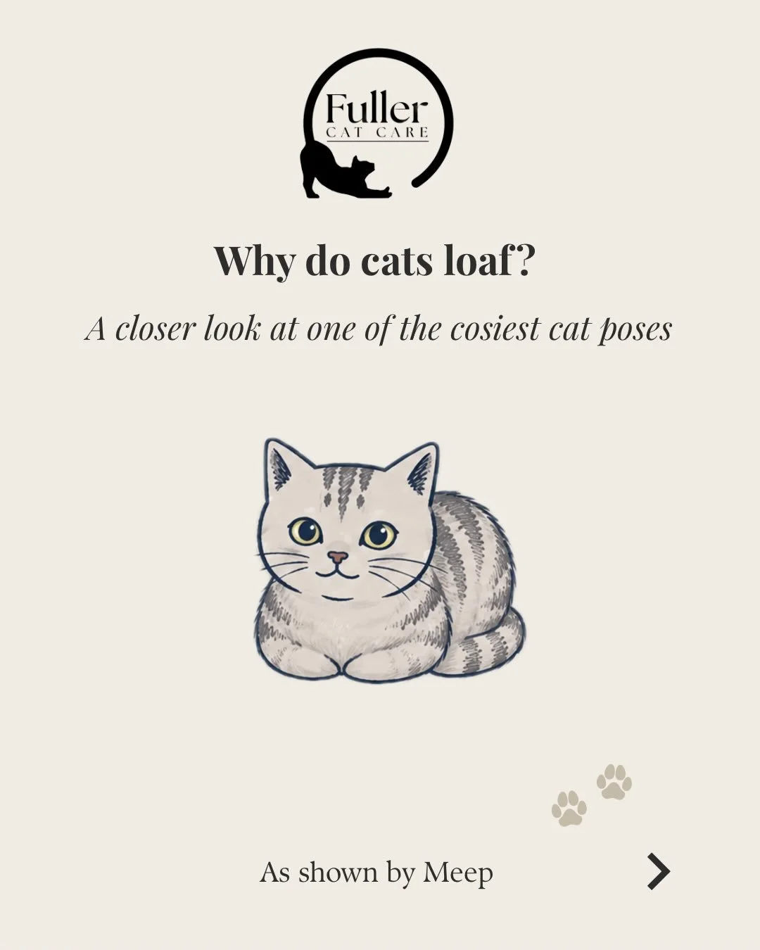 Why do cats loaf? 🍞 

Your cat isn&rsquo;t just sitting weird, they&rsquo;re telling you something. 

Loafing (paws tucked, no getaway plan) means your cat feels totally safe with you. 

Swipe to see why &rarr;

DM @fullercatcare to book now

www.fu