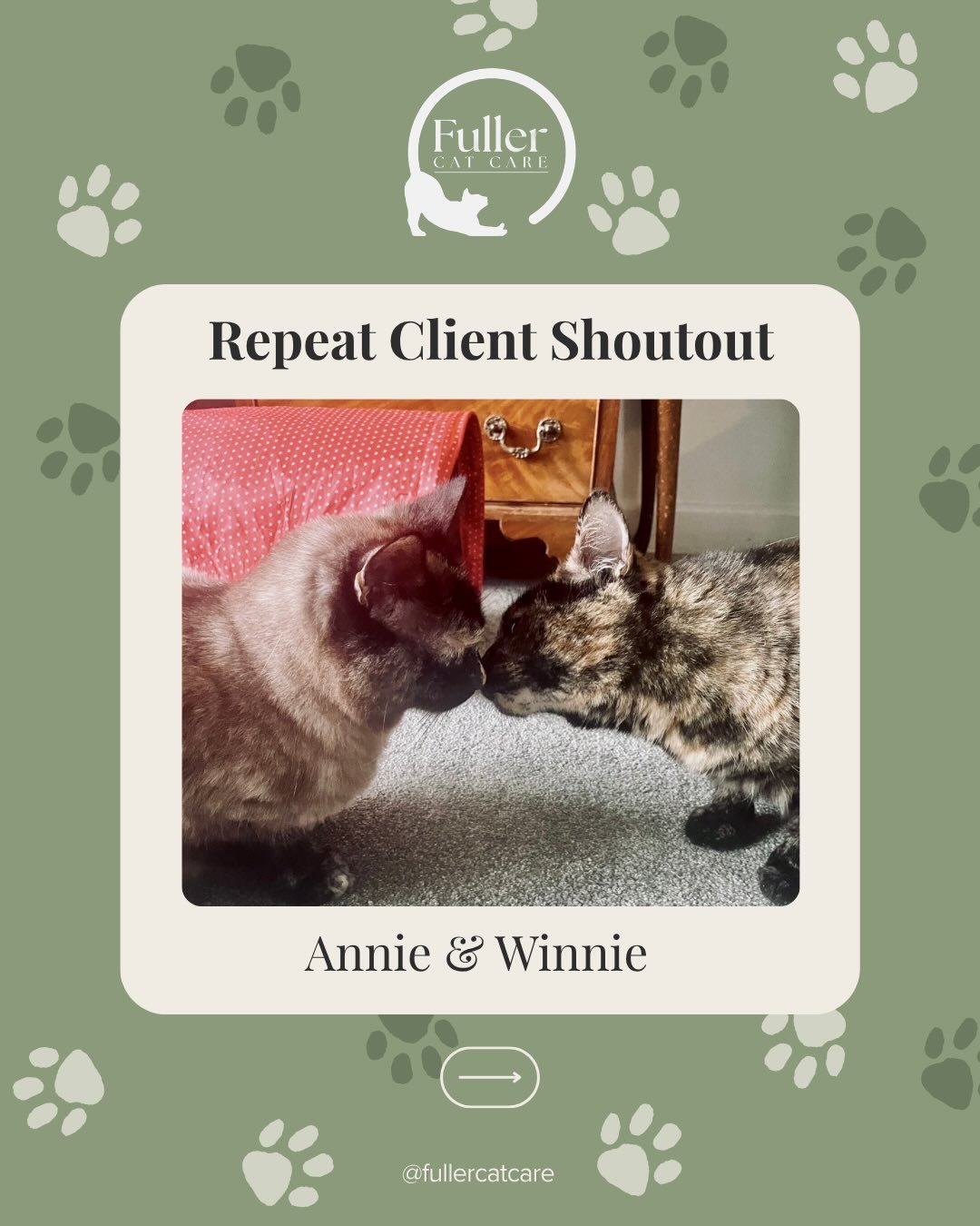 Here&rsquo;s some regular furry faces I see a lot around here 

Annie &amp; Winnie always make my day when I get to look after them!

There&rsquo;s something so special about repeat clients.

It means you trust me again and again with your fur babies
