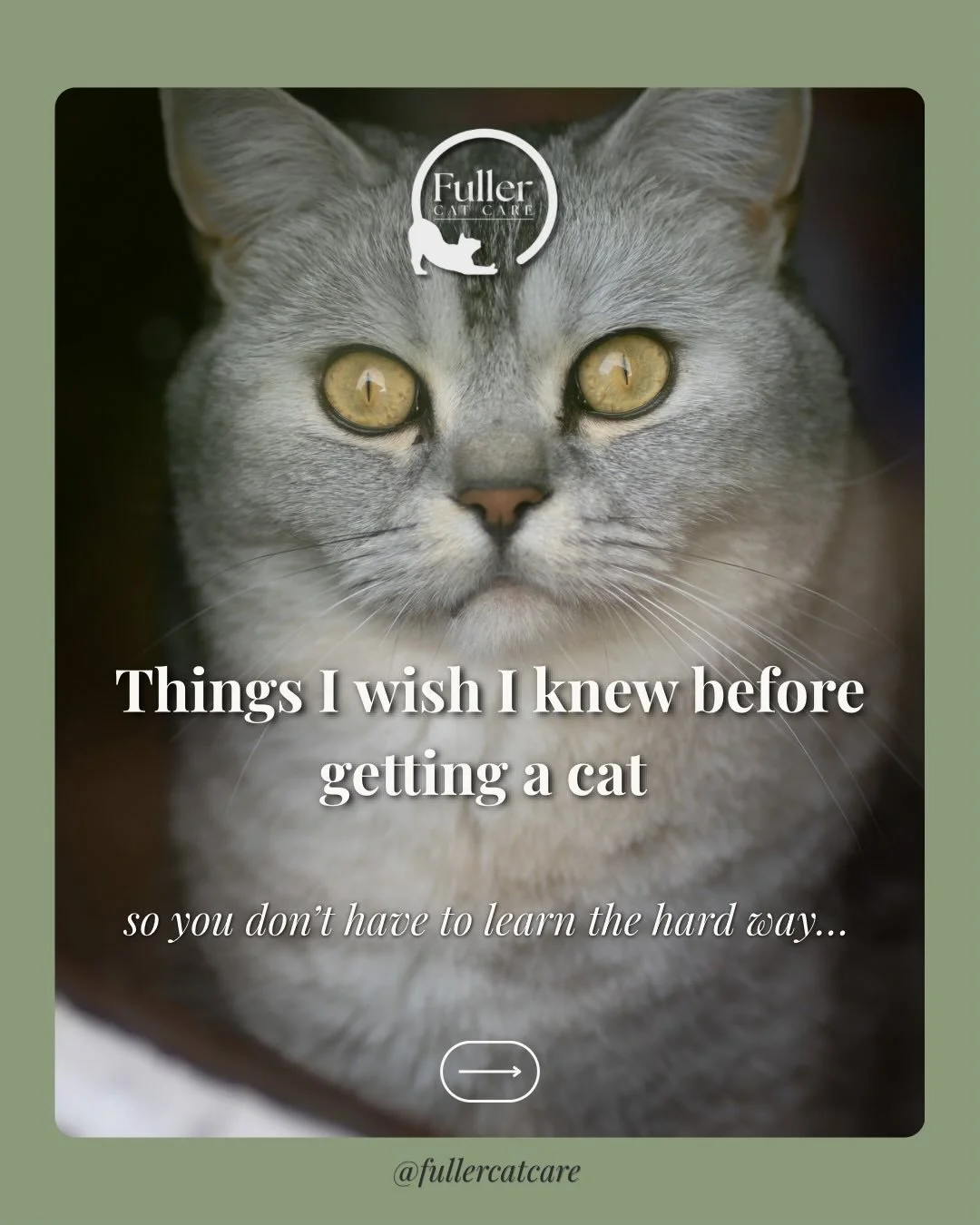 Being a cat mum has taught me more than I expected 🐾 

Here are a few things I genuinely wish I&rsquo;d known before Meep came into my life. 

Swipe through 👉

What&rsquo;s one thing YOU wish you&rsquo;d known before your cat came home? 

⬇️ Let me