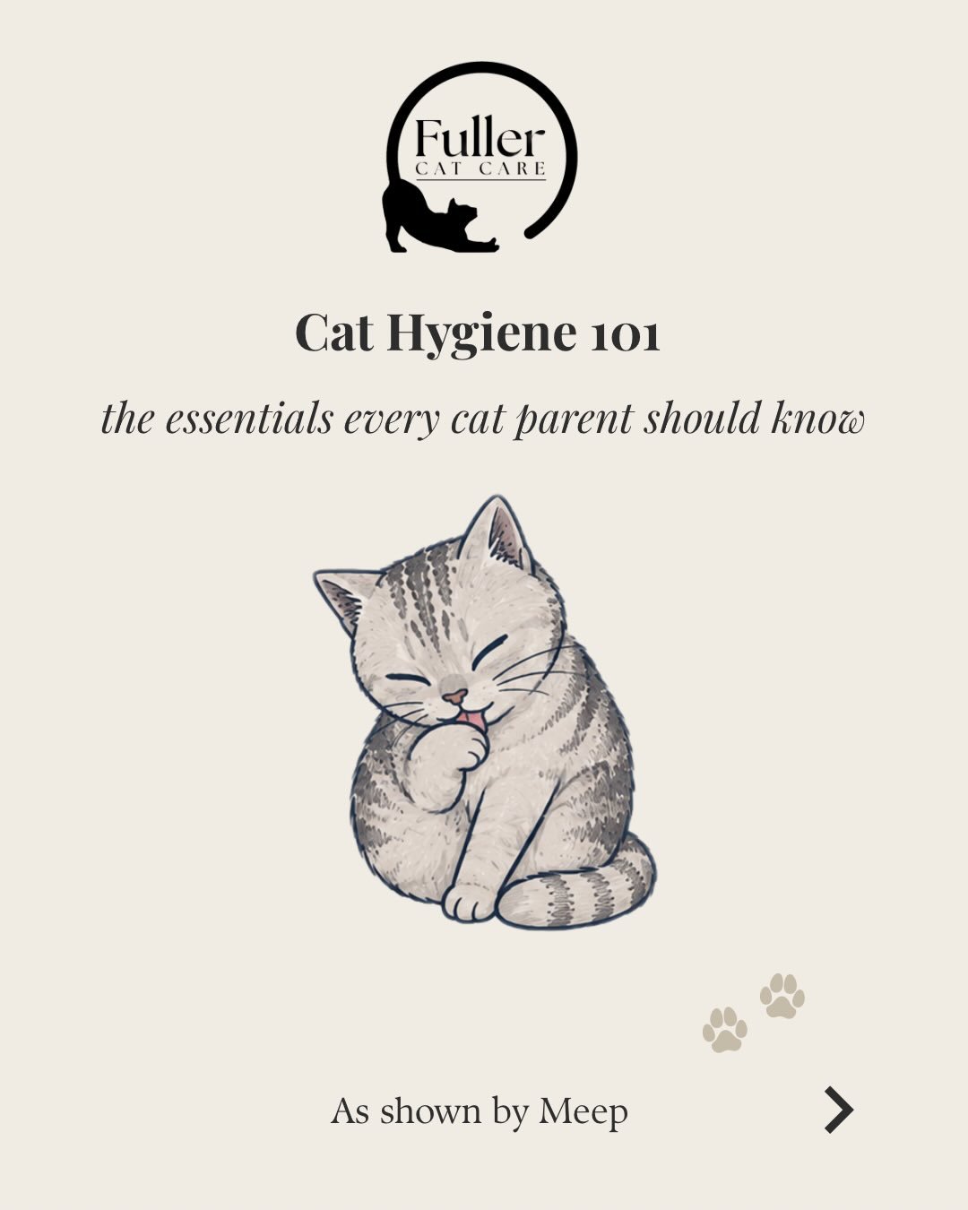 Cleaning the litter box isn&rsquo;t the only hygiene job on the list 

From ears to teeth to those claws, small habits add up to a healthier, happier cat. 

Swipe through for the essentials every cat parent needs to know

Need someone to keep your ca