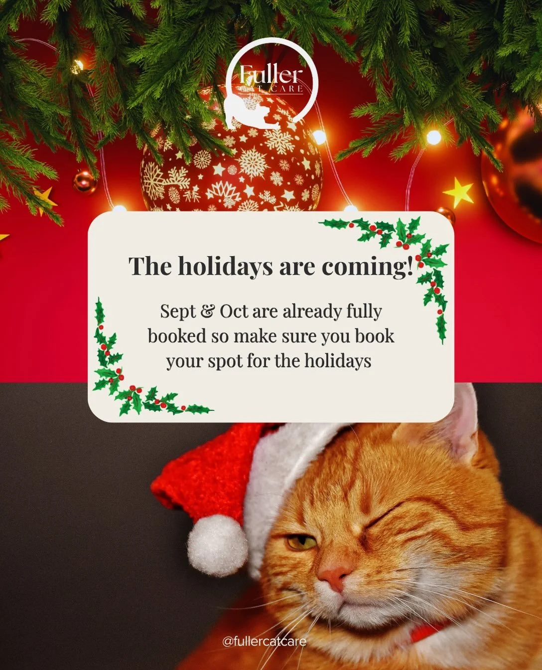 🎄 The holidays are coming, and our books are filling up fast!

Sept &amp; Oct are already fully booked, so if you&rsquo;re planning a getaway over Christmas or New Year, now&rsquo;s the time to get in touch. 

The earlier you book, the easier it is 