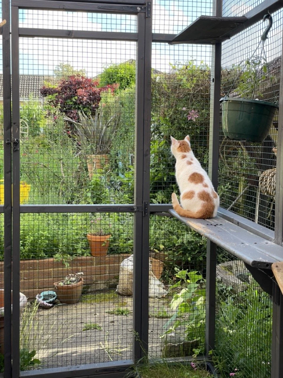 Extended Care