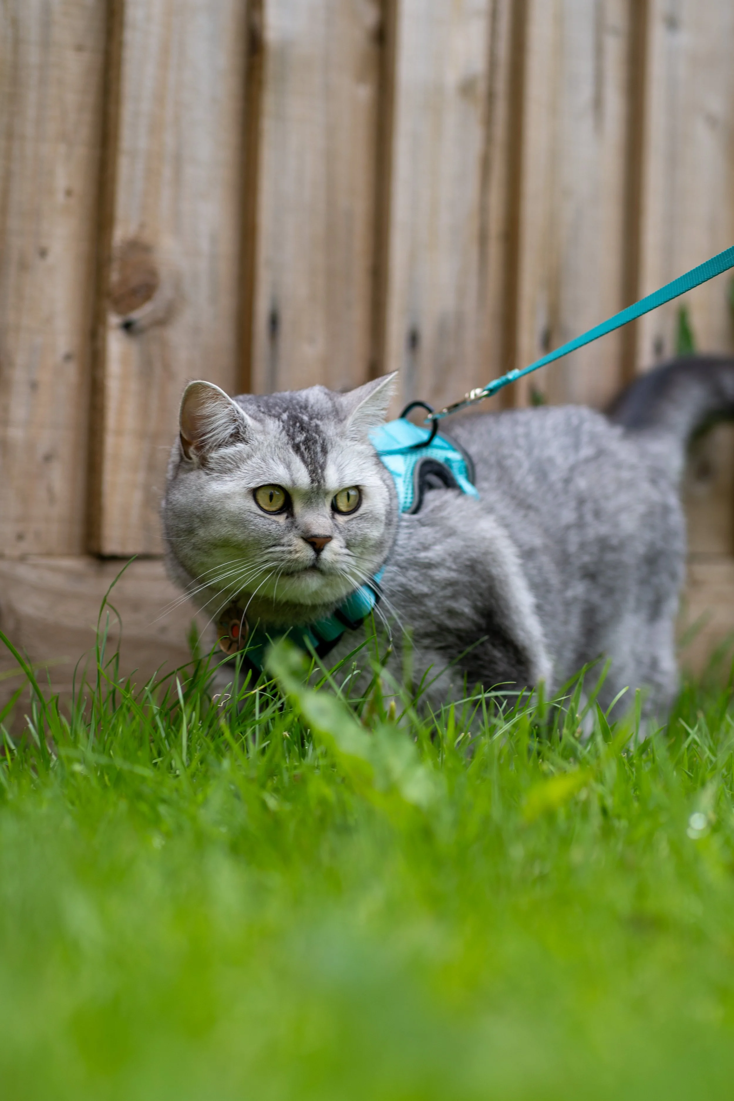 Exploration Enrichment & Training
