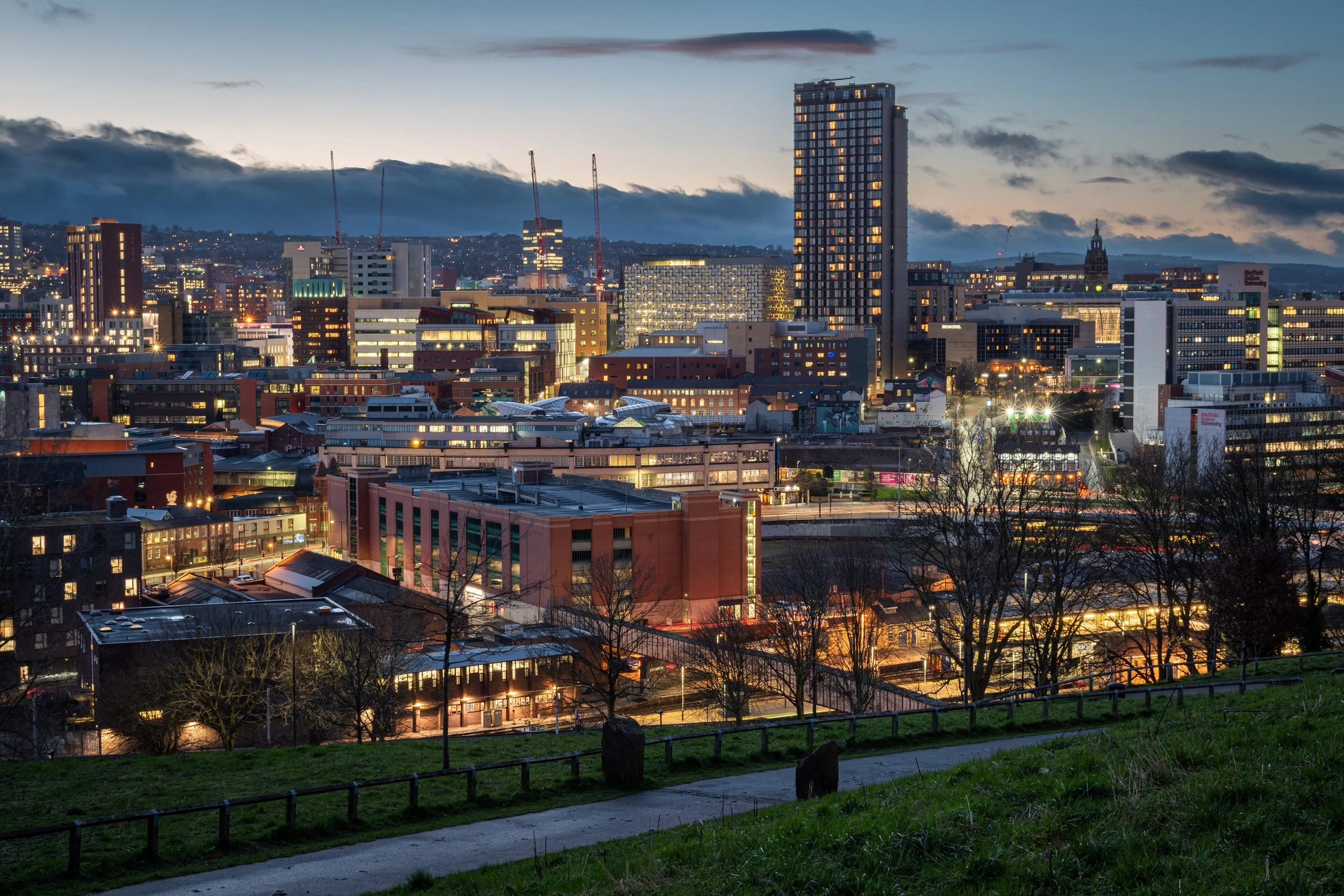 Sheffield city centre skyline at dusk with illuminated buildings, cranes, and a cloudy sky, viewed from a grassy park with a walking path in the foreground.