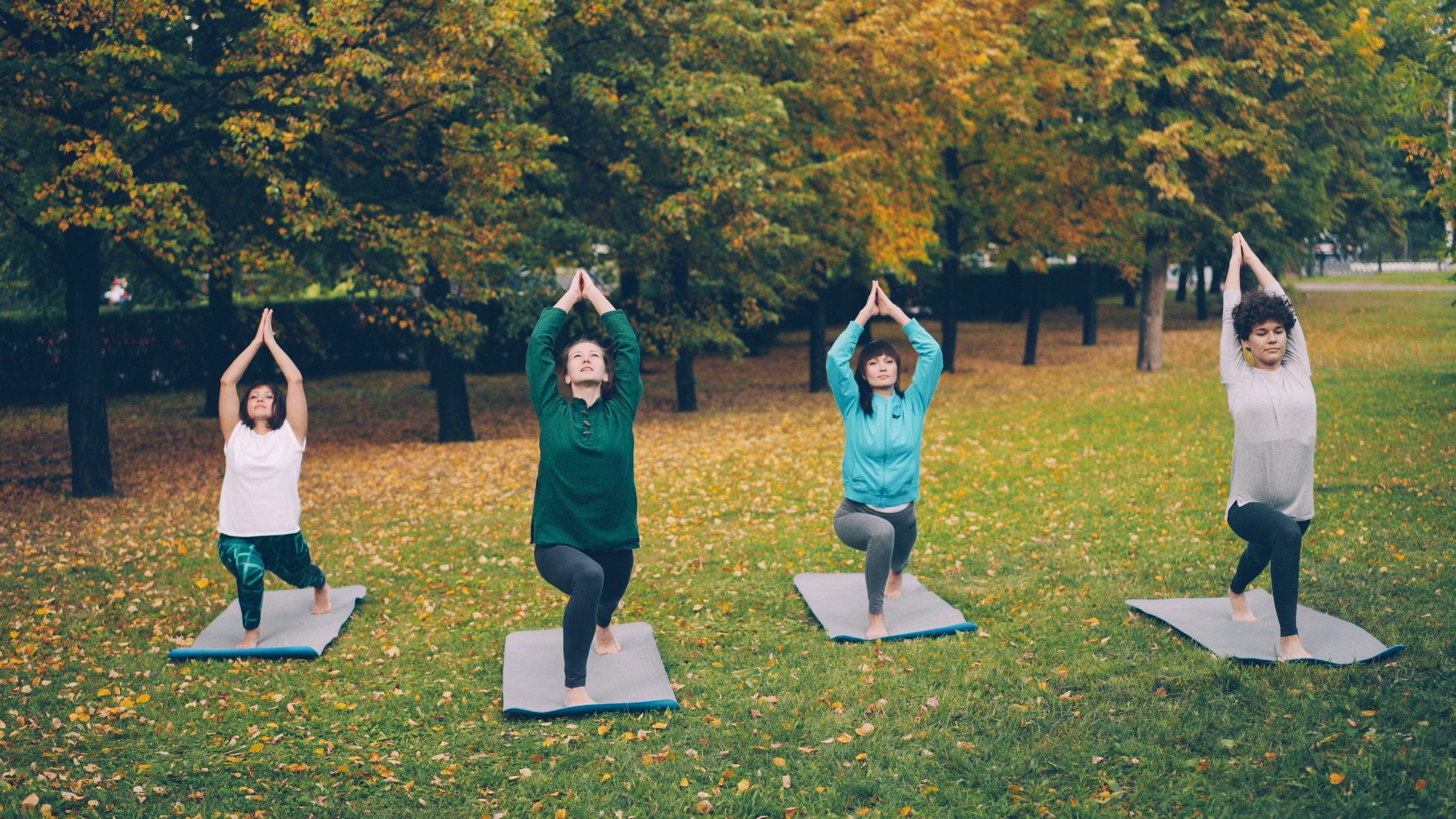 Adults doing gentle outdoor mobility exercises in a park