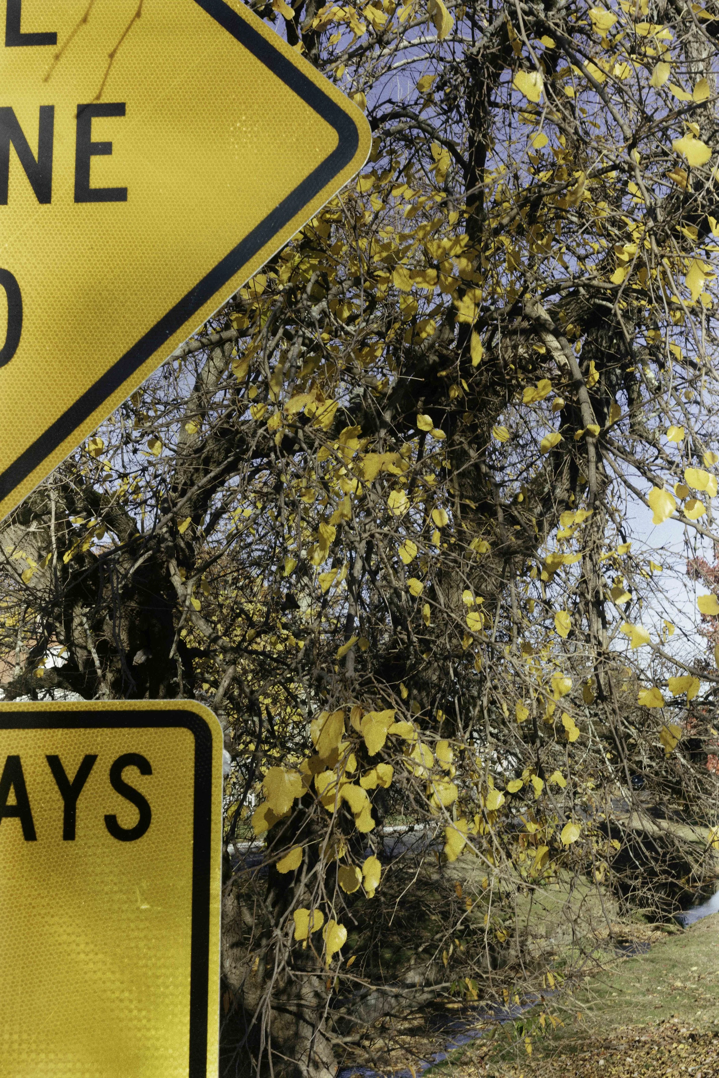 Abermarle-2923-Edit.jpg