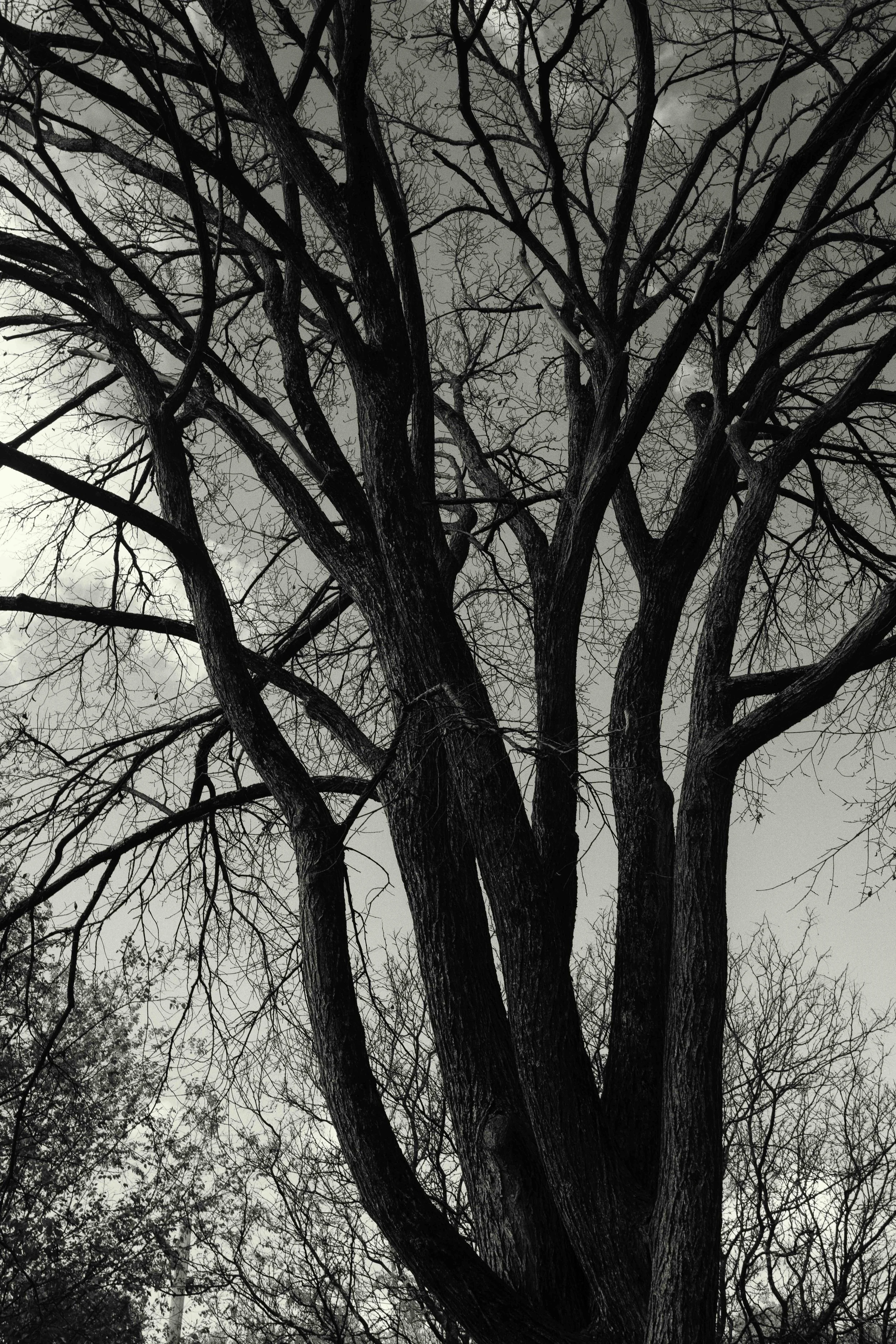 Abermarle-3096-Edit.jpg