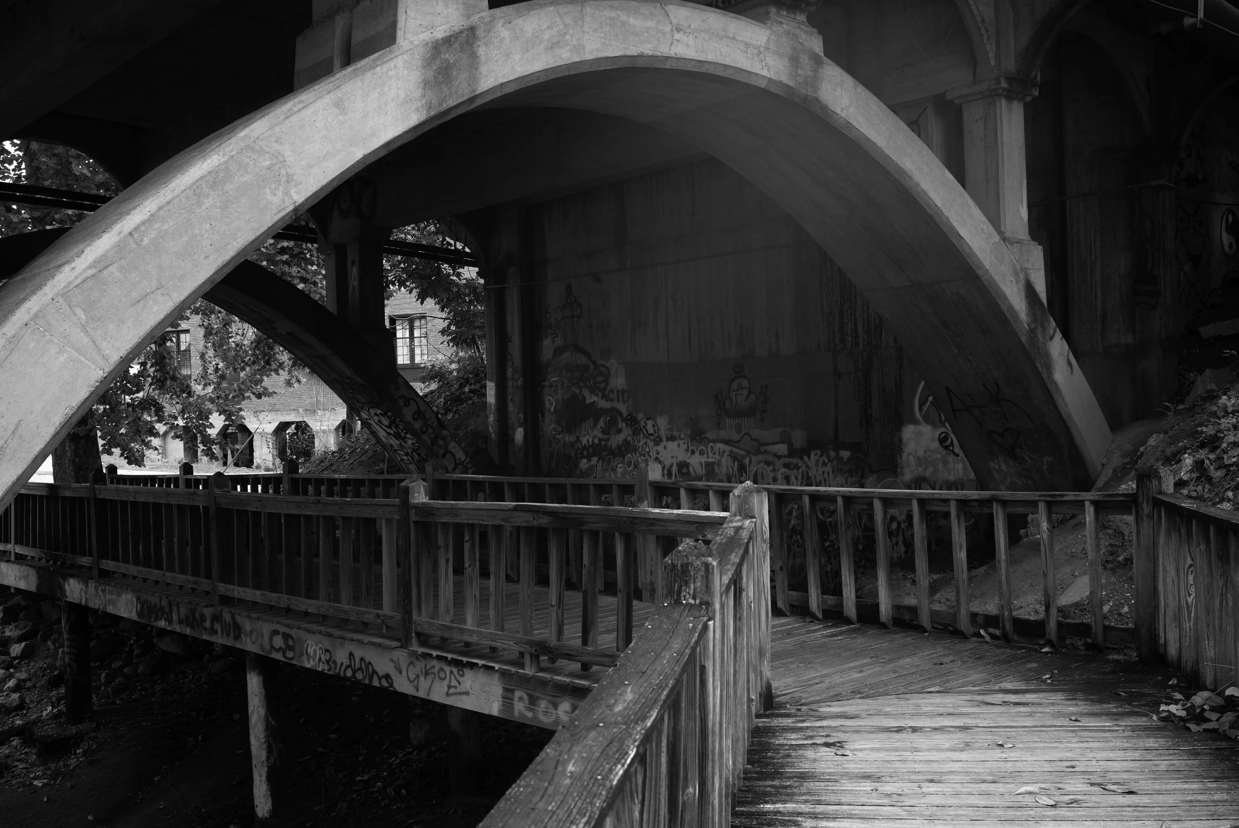 Leica1st-504-Edit.jpg