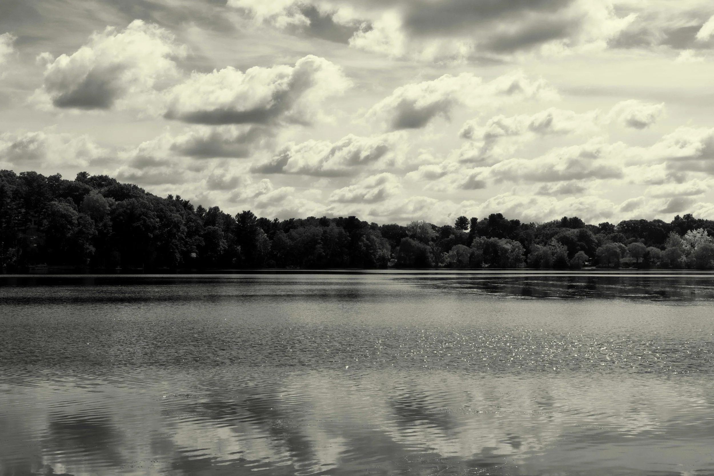 Morse Pond-1265-Edit-2.jpg