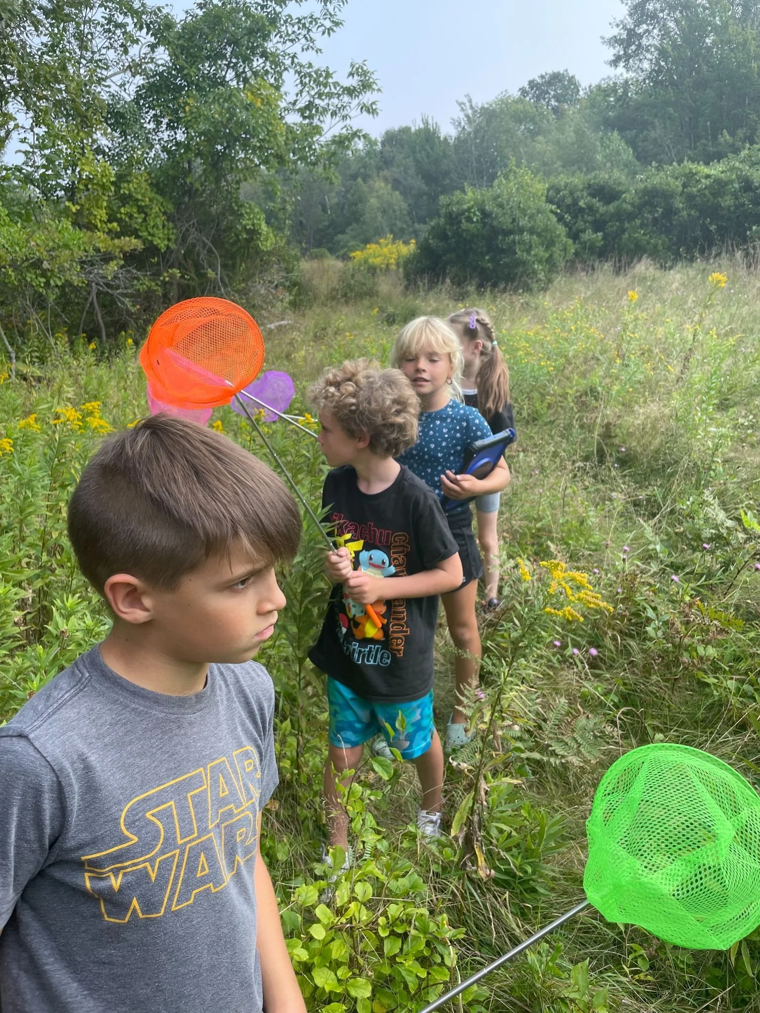 Children in a grassy field with yellow flowers, some holding butterfly nets, surrounded by trees.