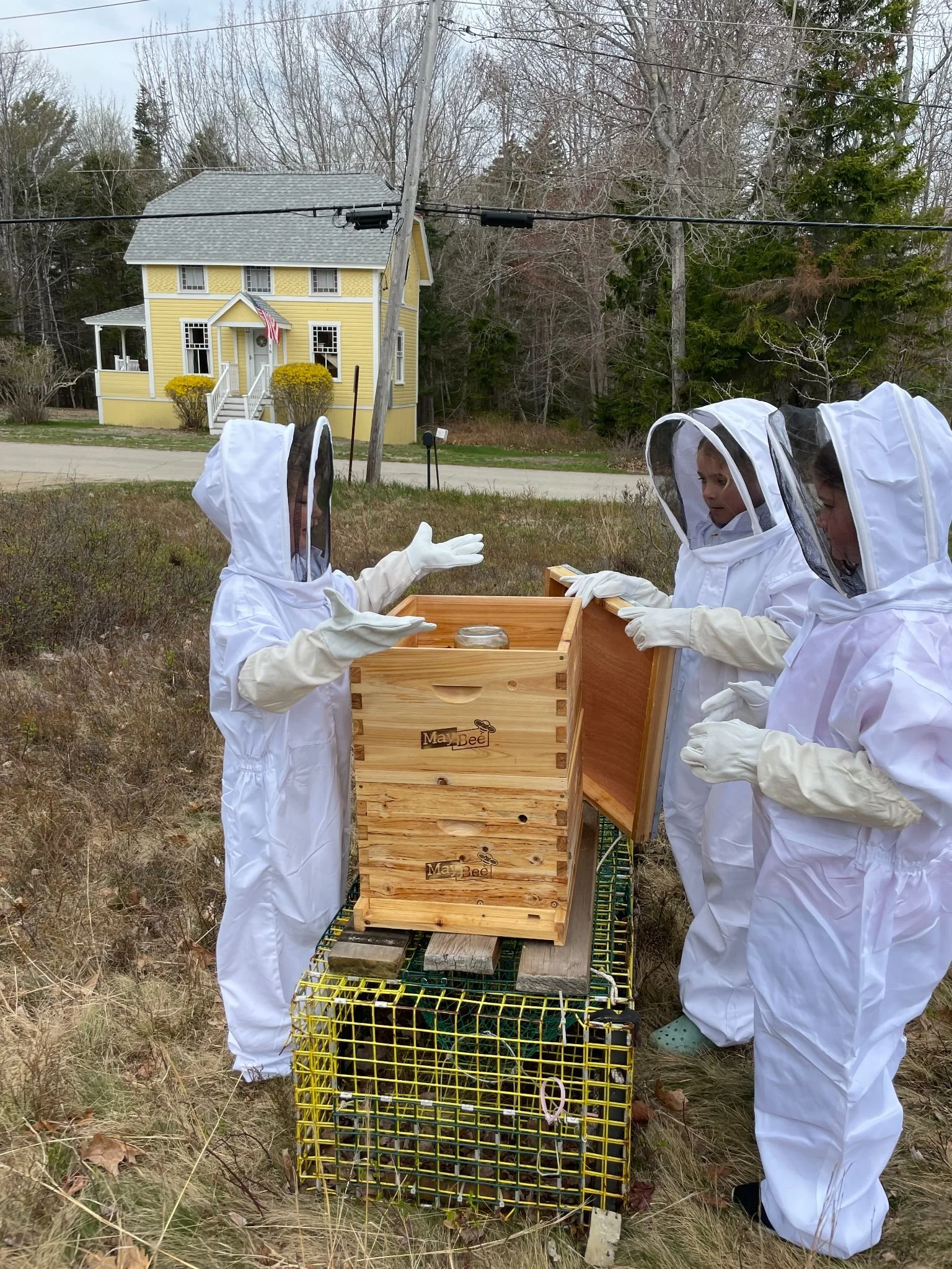 Two children dressed in beekeeping suits with veiled hats, handling a wooden bee box labeled 'May Bee', outdoors with a yellow house in the background.