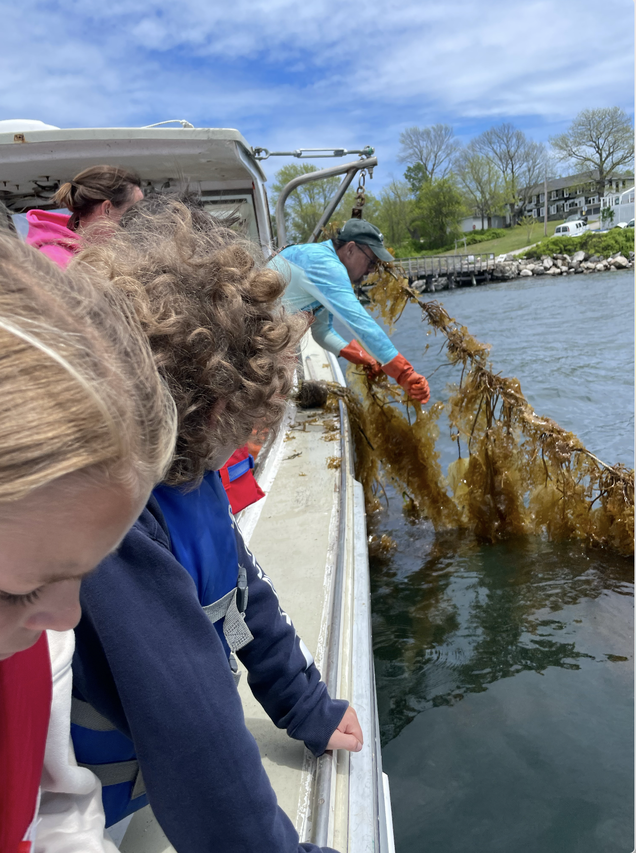 People on a boat removing seaweed from the water.