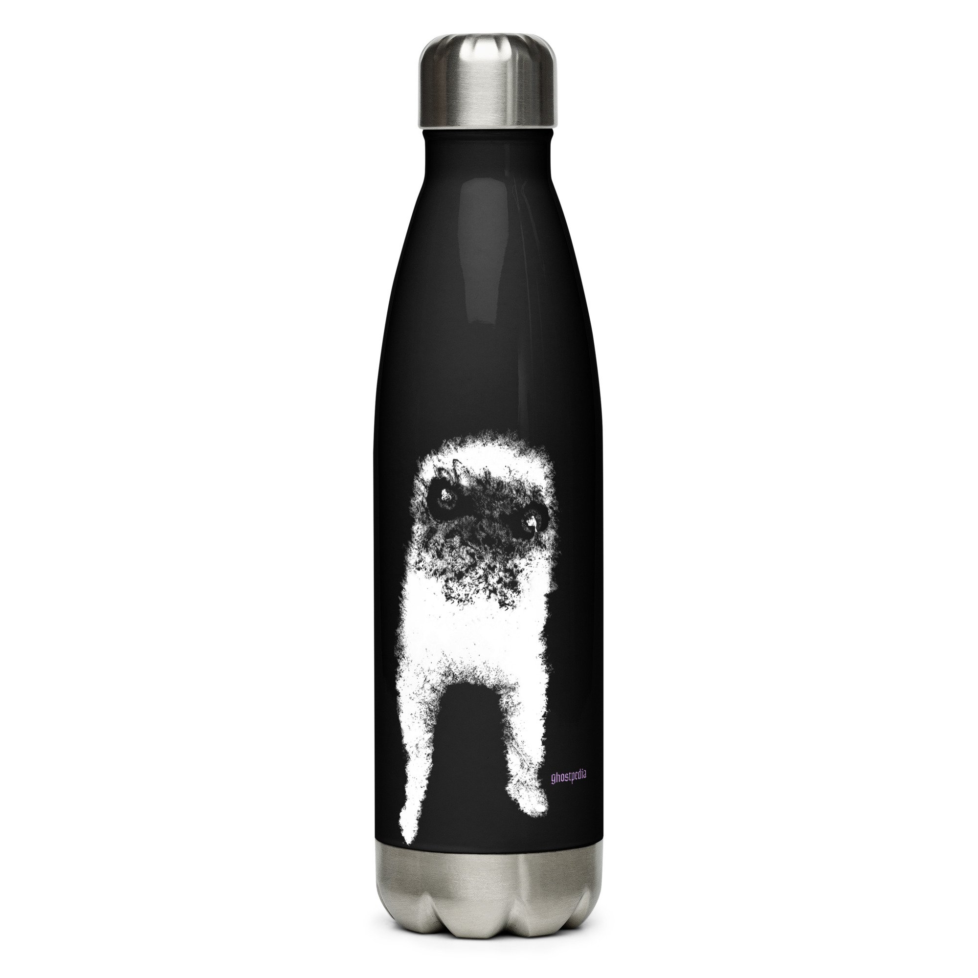 Stainless steel water bottle