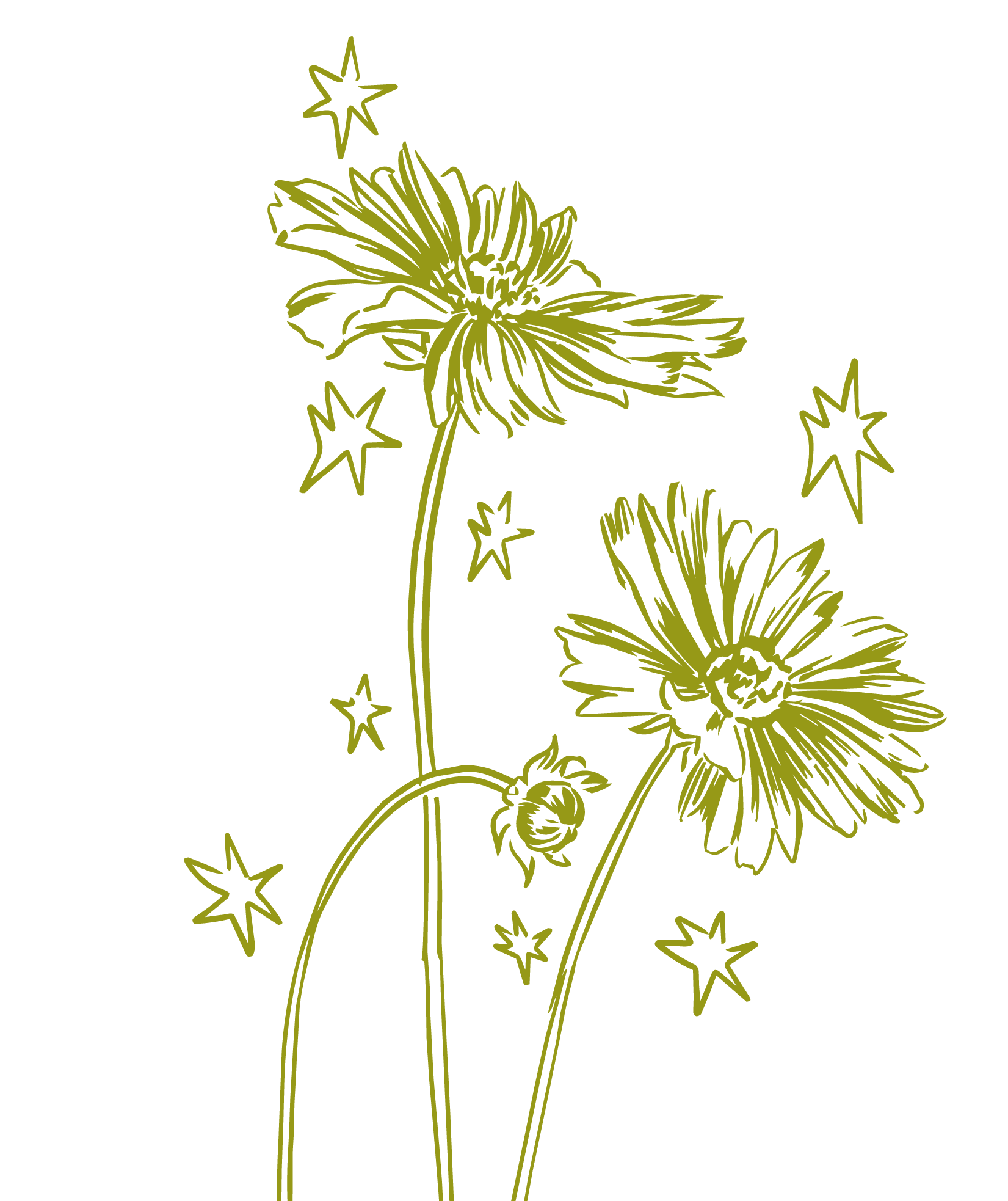 A line drawing of chrysanthemums with multiple star-shaped sparkles around them (Maia Baker, queer historical romance writer)