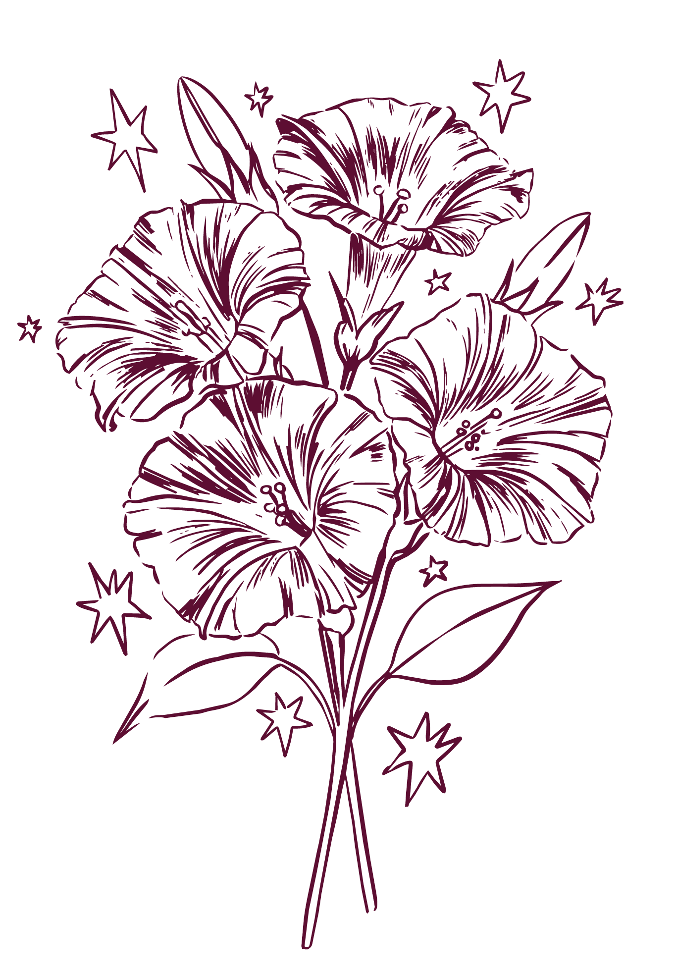 Line drawing of morning glories with leaves, surrounded by stars (Maia Baker, queer historical romance writer)