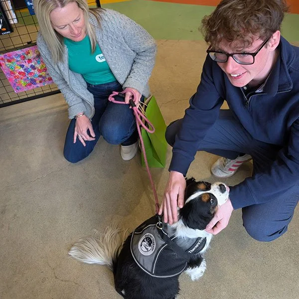 A woman crouching next to a man who is petting a small black and white dog with brown eyes. The woman holds a pink leash attached to the dog, and the man is smiling and wearing glasses. The dog is wearing a harness, and the setting appears to be indoors, possibly at a pet adoption or event center.