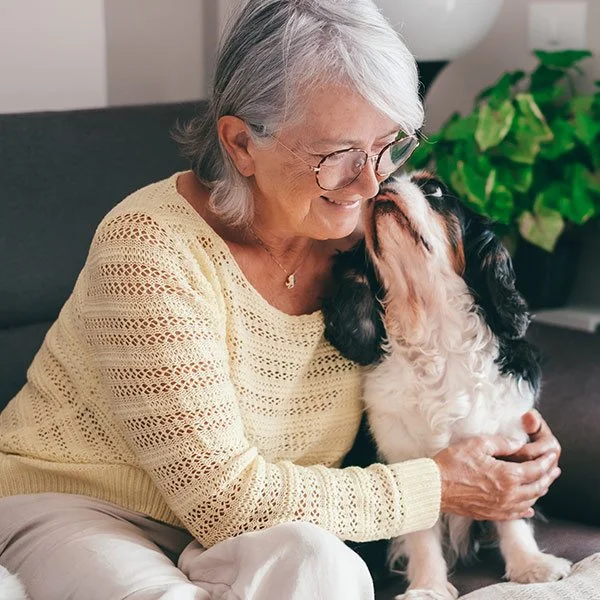 An elderly woman with gray hair and glasses smiling while holding and hugging a small black, white, and brown dog, possibly a Cavalier King Charles Spaniel, on her lap inside a living room with a green plant in the background.