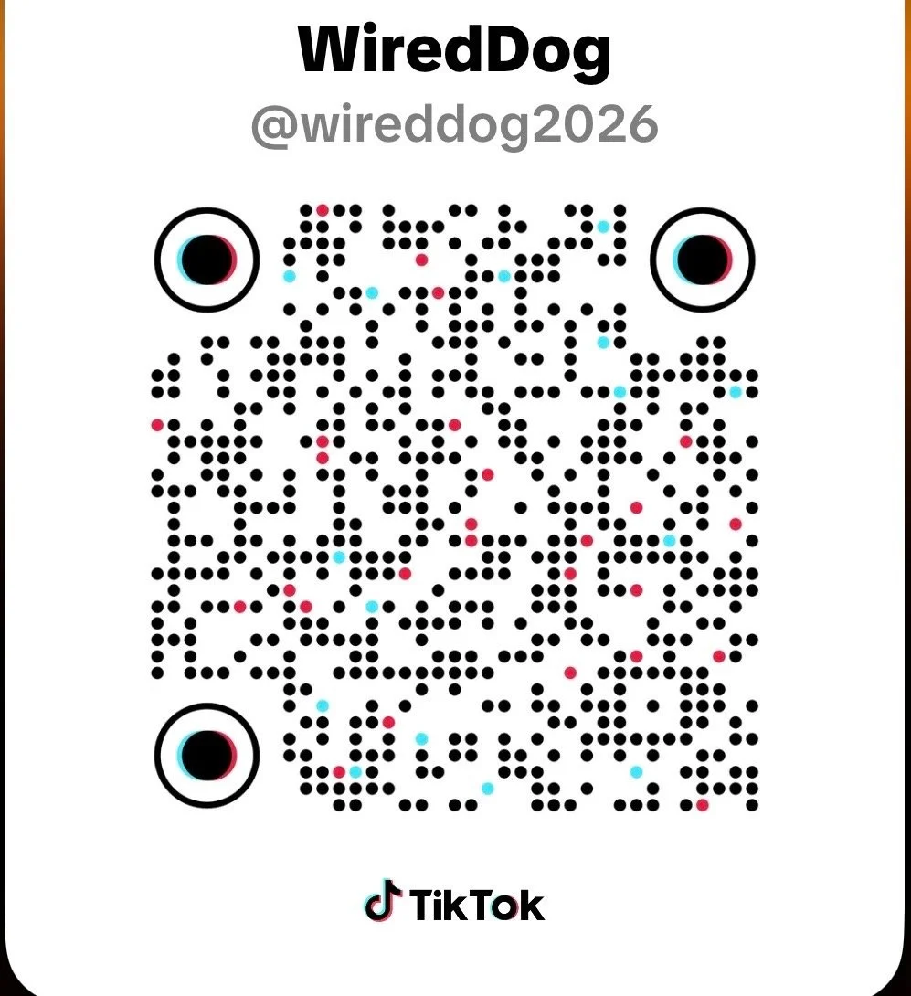 A TikTok QR code for the user 'WiredDog' with the handle '@wiredog2026' and stylized eye icons on top left and right sides.