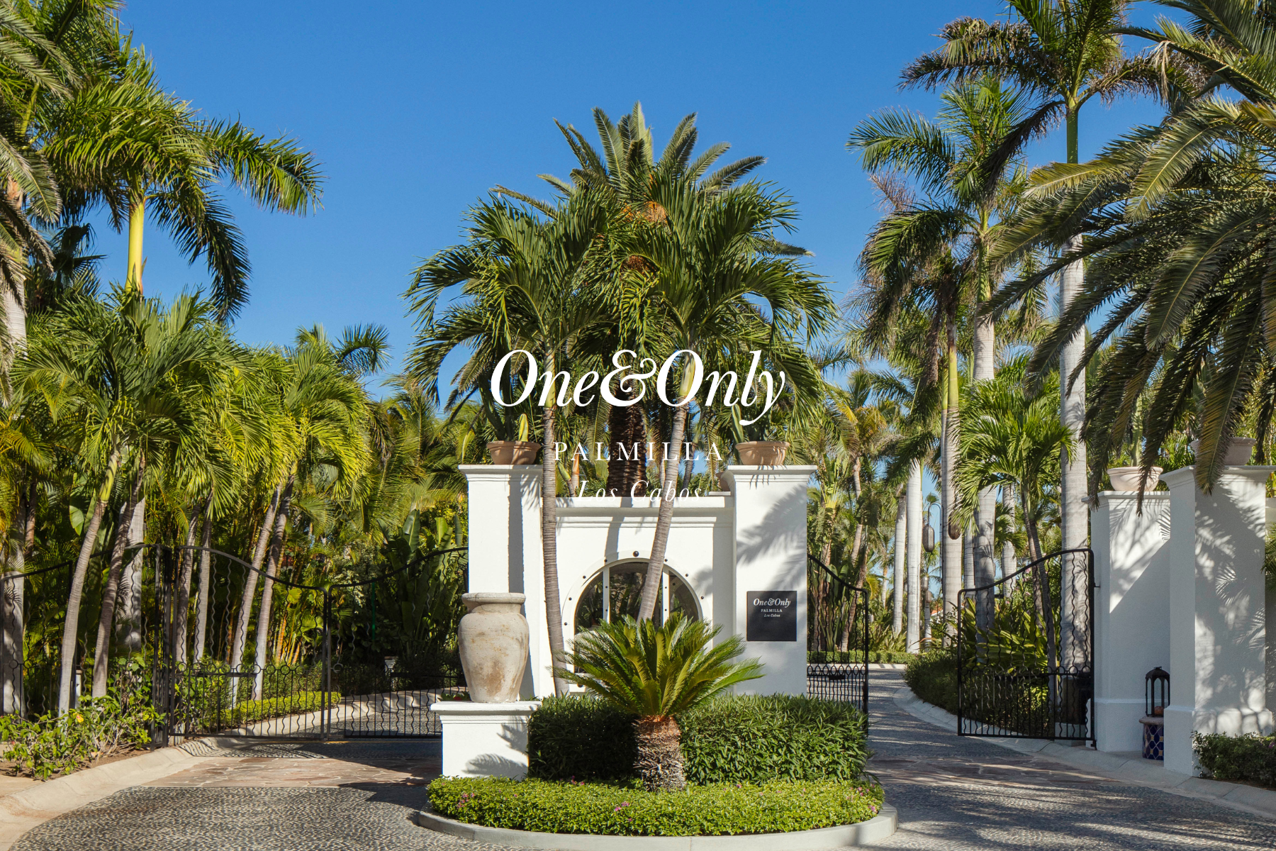 Entrance to One&Only Palmilla resort with white architecture and tall palm trees under a clear blue sky.