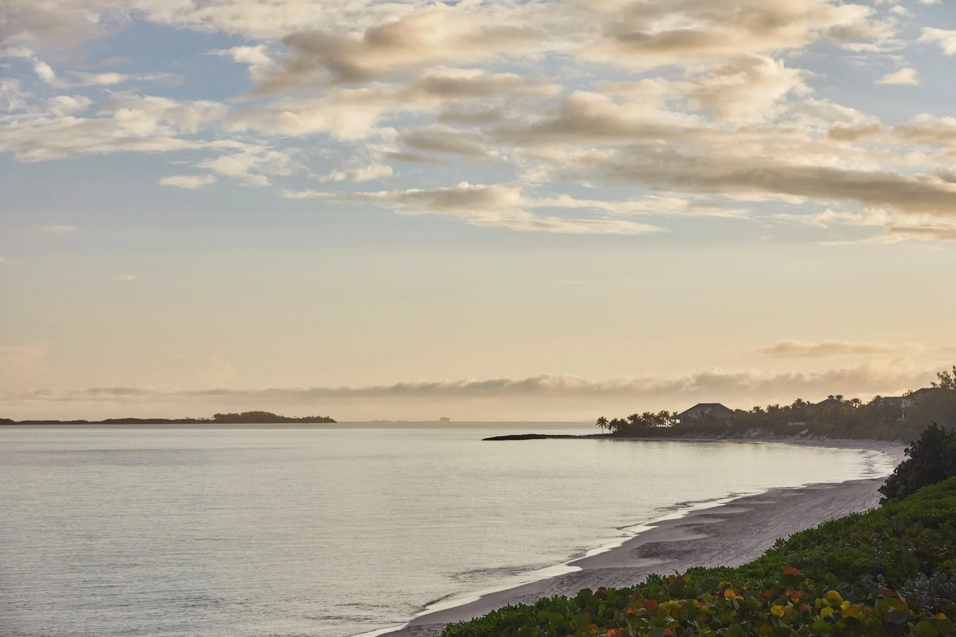 Calm ocean waters near a sandy shoreline with green plants, under a sky with scattered clouds and distant houses along the coast.