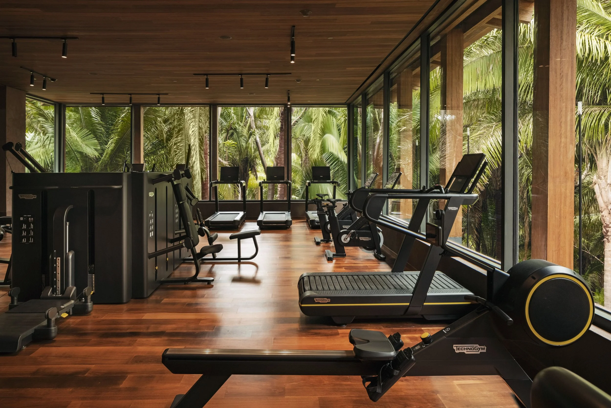 A gym with cardio machines, including treadmill and exercise bike, inside a room with large windows showing lush green palm trees outside.