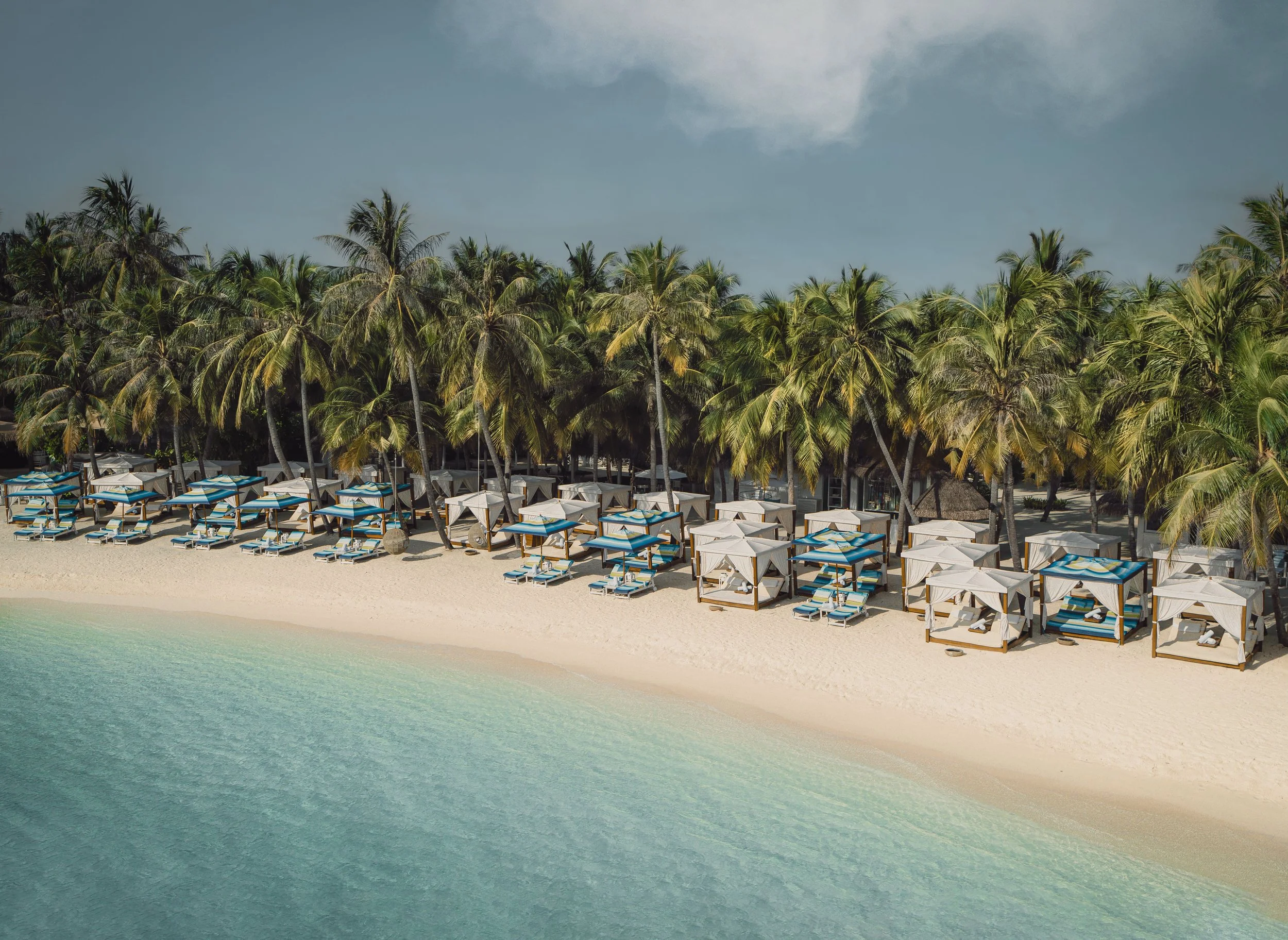 Beach with clear water, sandy shore, and numerous beach chairs with umbrellas, lined up in front of a dense group of palm trees under a partly cloudy sky.