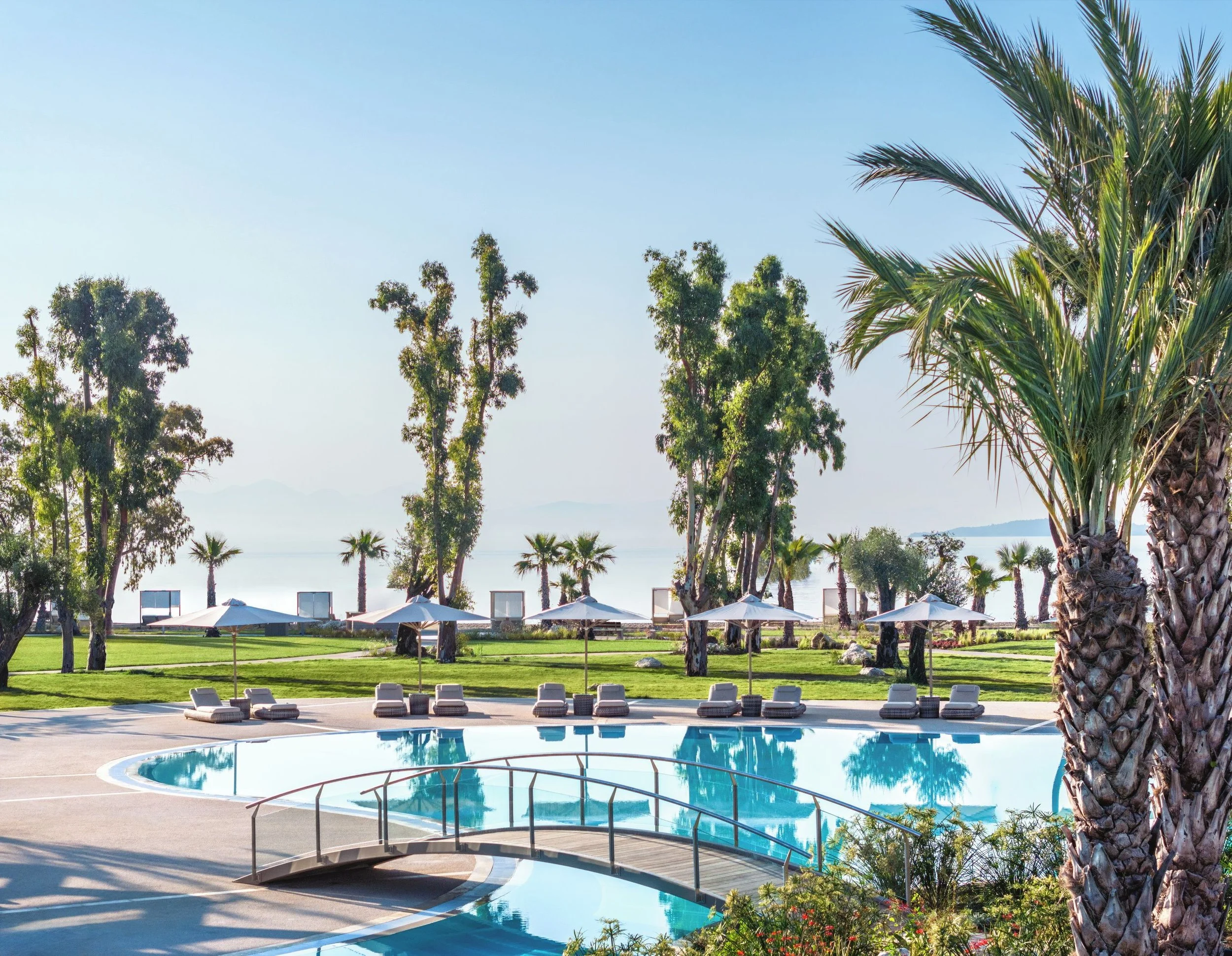 A swimming pool with lounge chairs and umbrellas surrounded by green grass and palm trees, overlooking a body of water in the background under a clear blue sky.