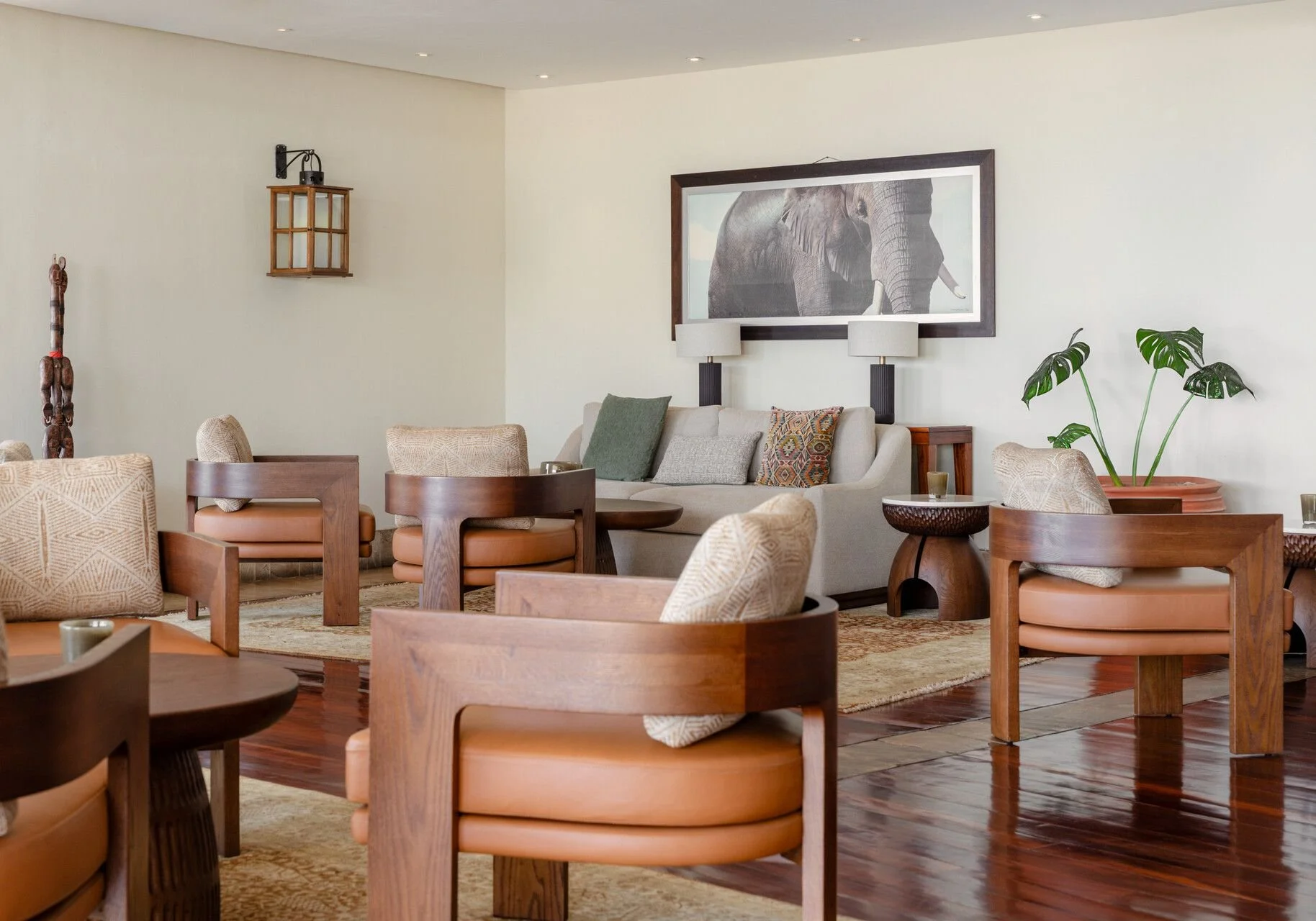 Cozy living room with white couch, wooden chairs, green plants, and framed elephant photo on the wall.